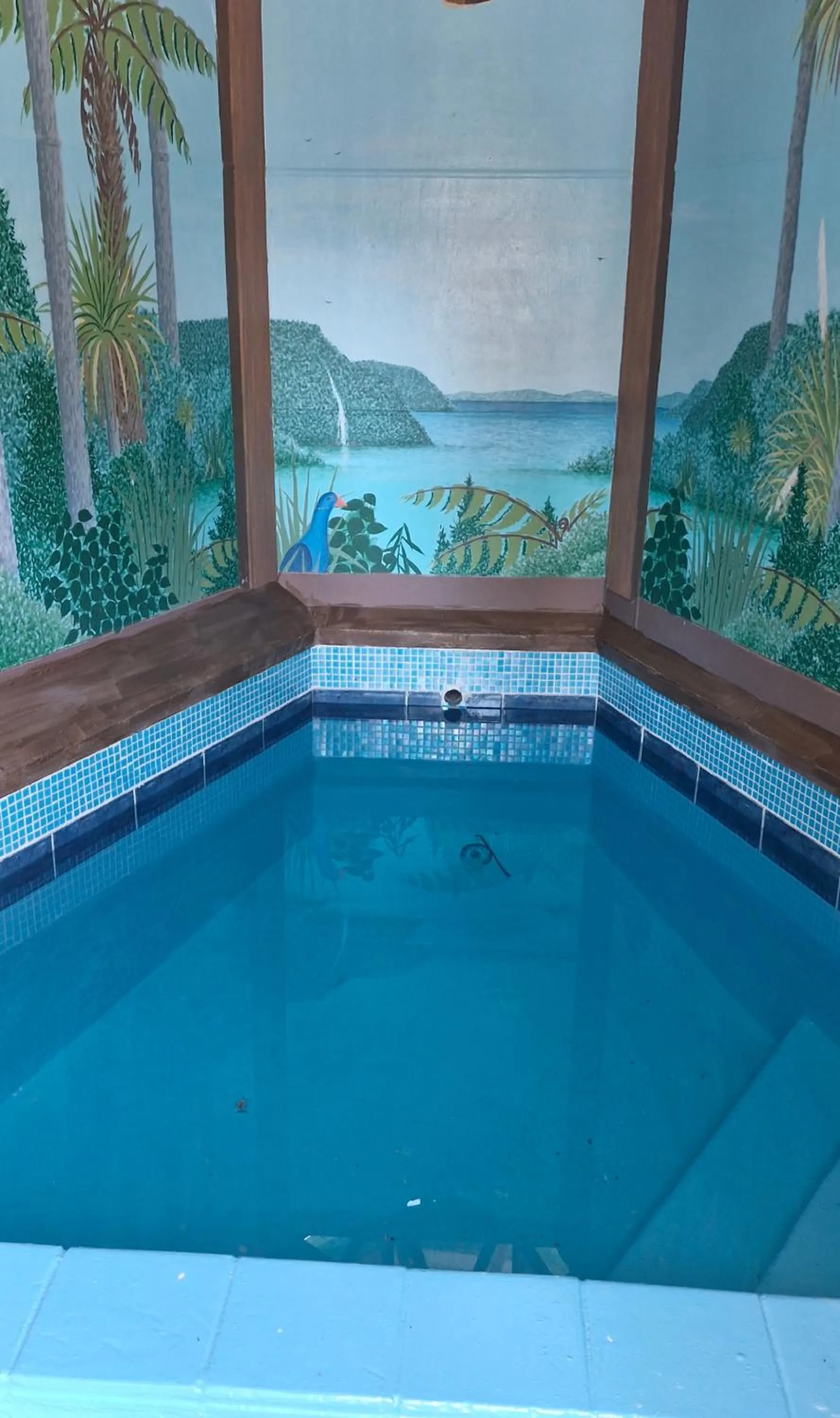 Hot Spring Bath in Tokaanu Lodge Motel