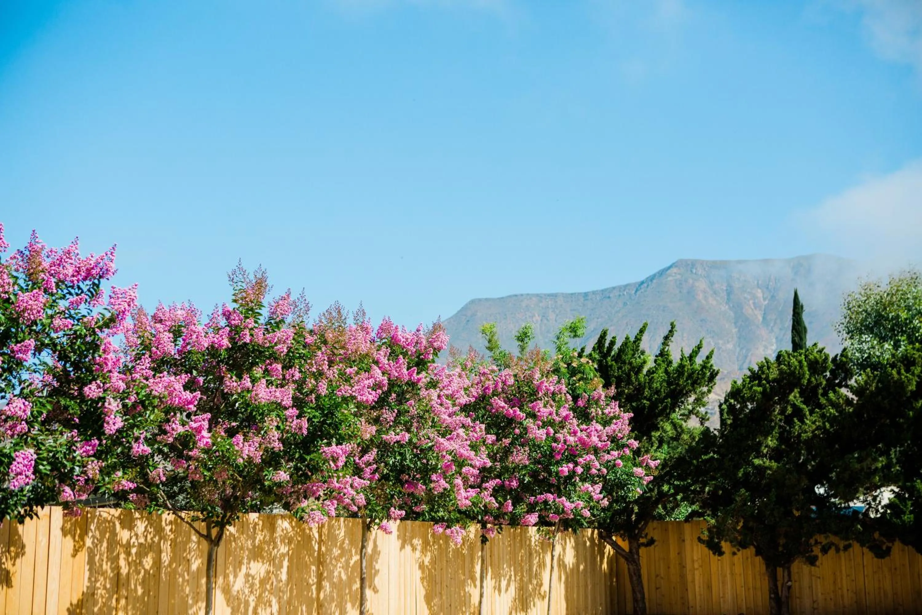 Mountain view in Casa Ojai Inn