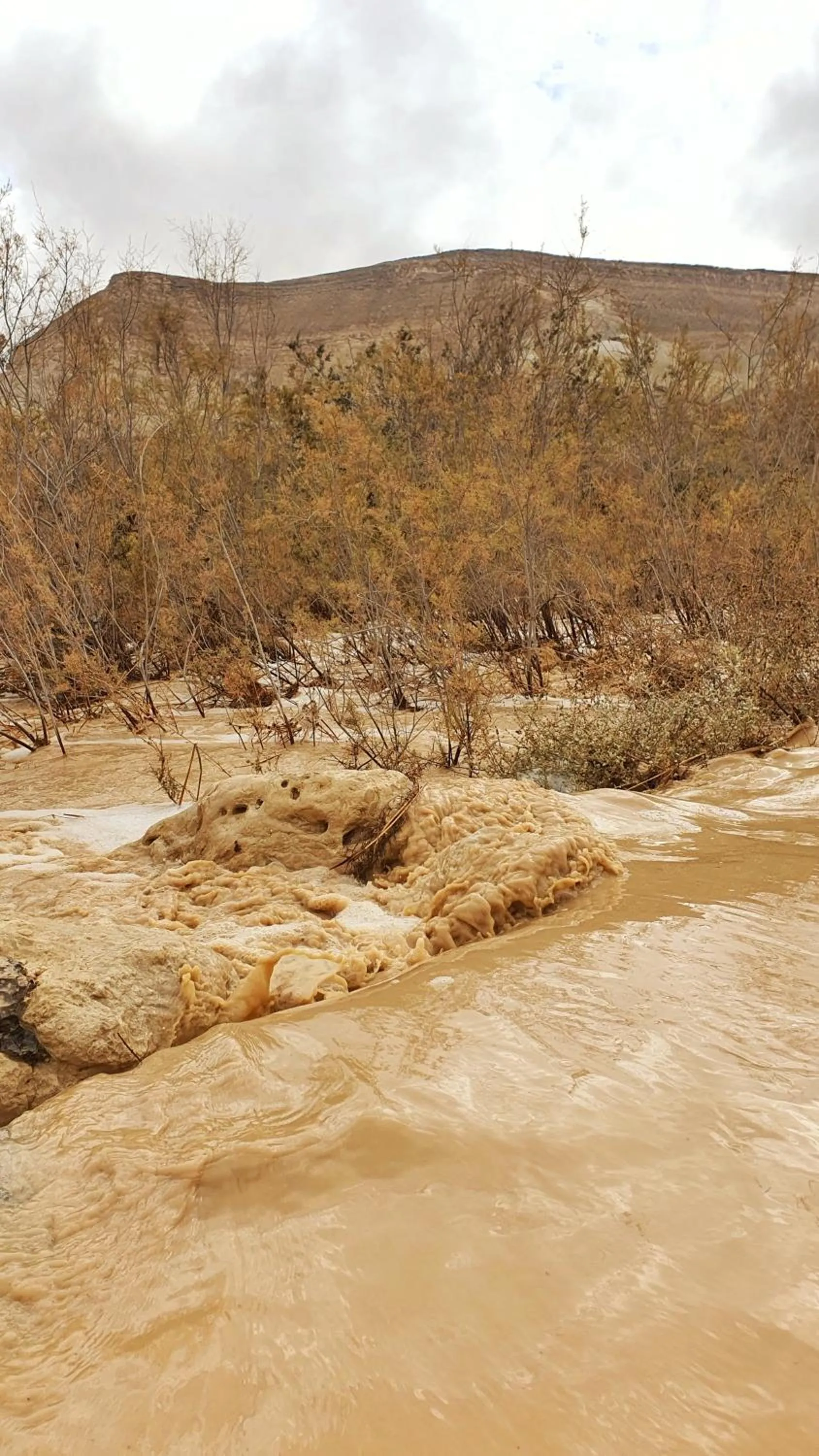Natural landscape in Shoshanat Hamidbar