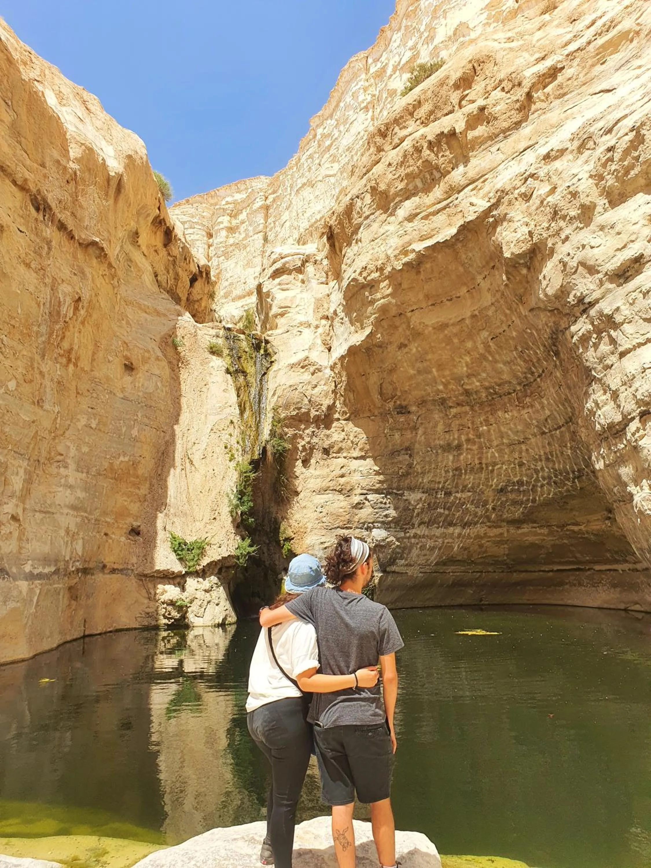 Spring in Shoshanat Hamidbar