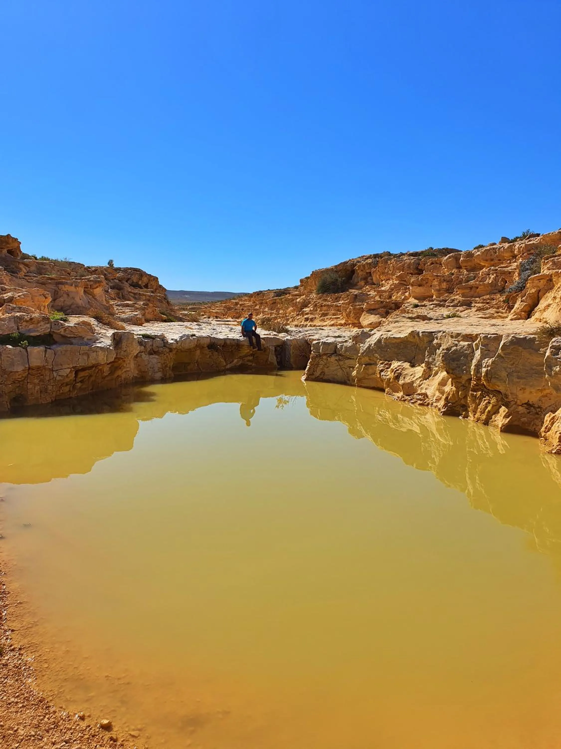 Natural landscape in Shoshanat Hamidbar