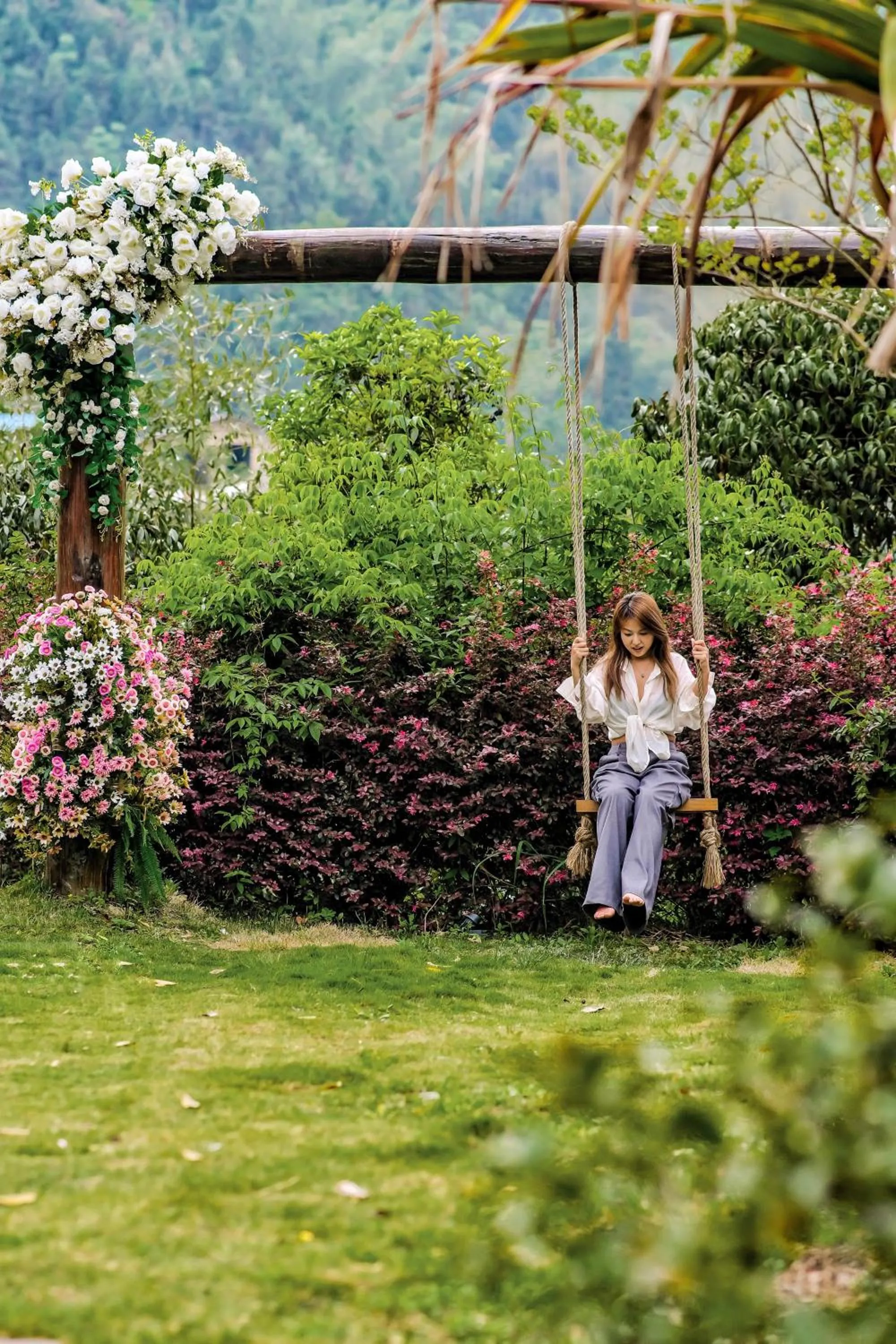 Day in Homeward Mountain Resort