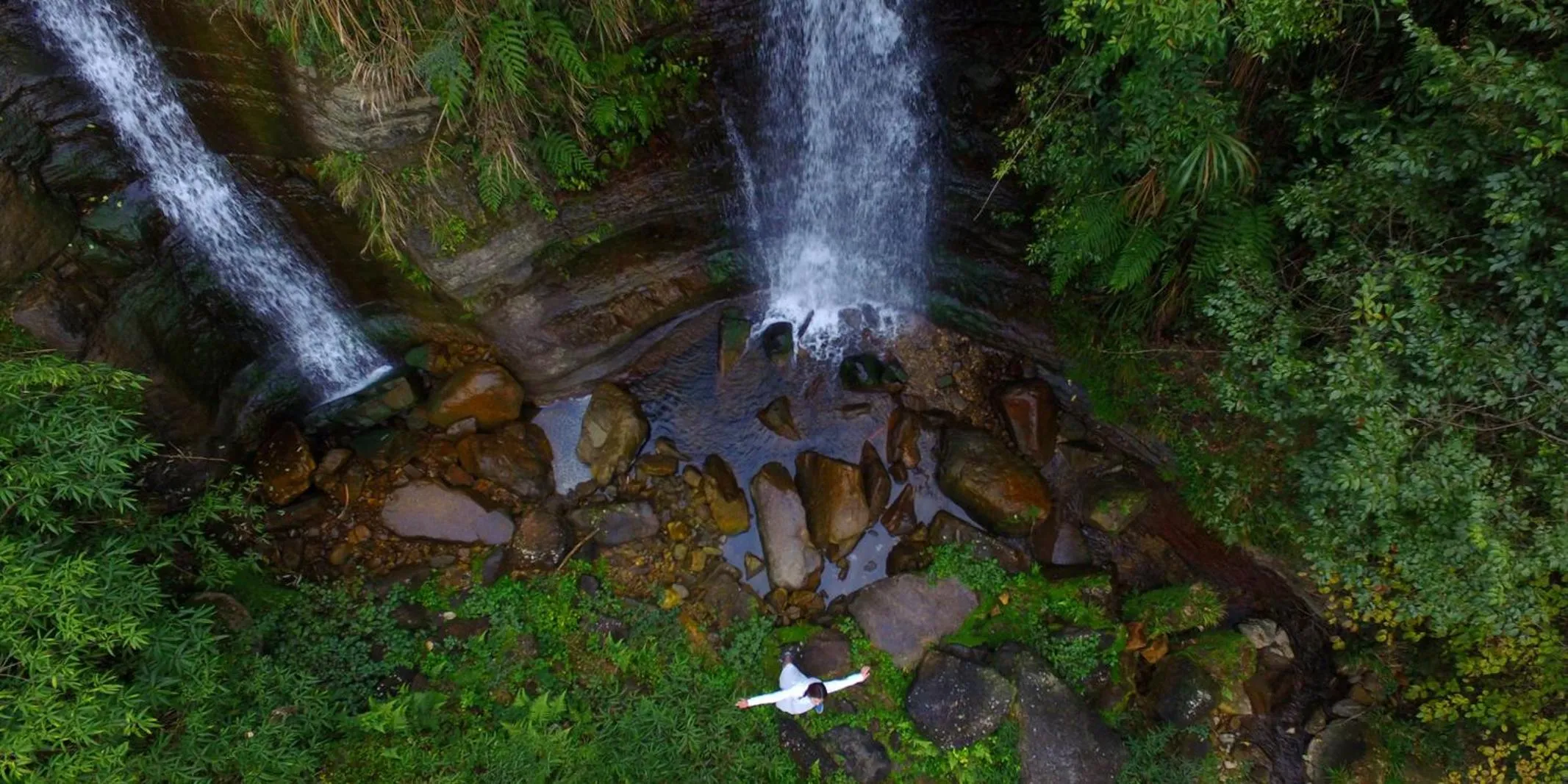 Natural landscape, Other Animals in Homeward Mountain Resort