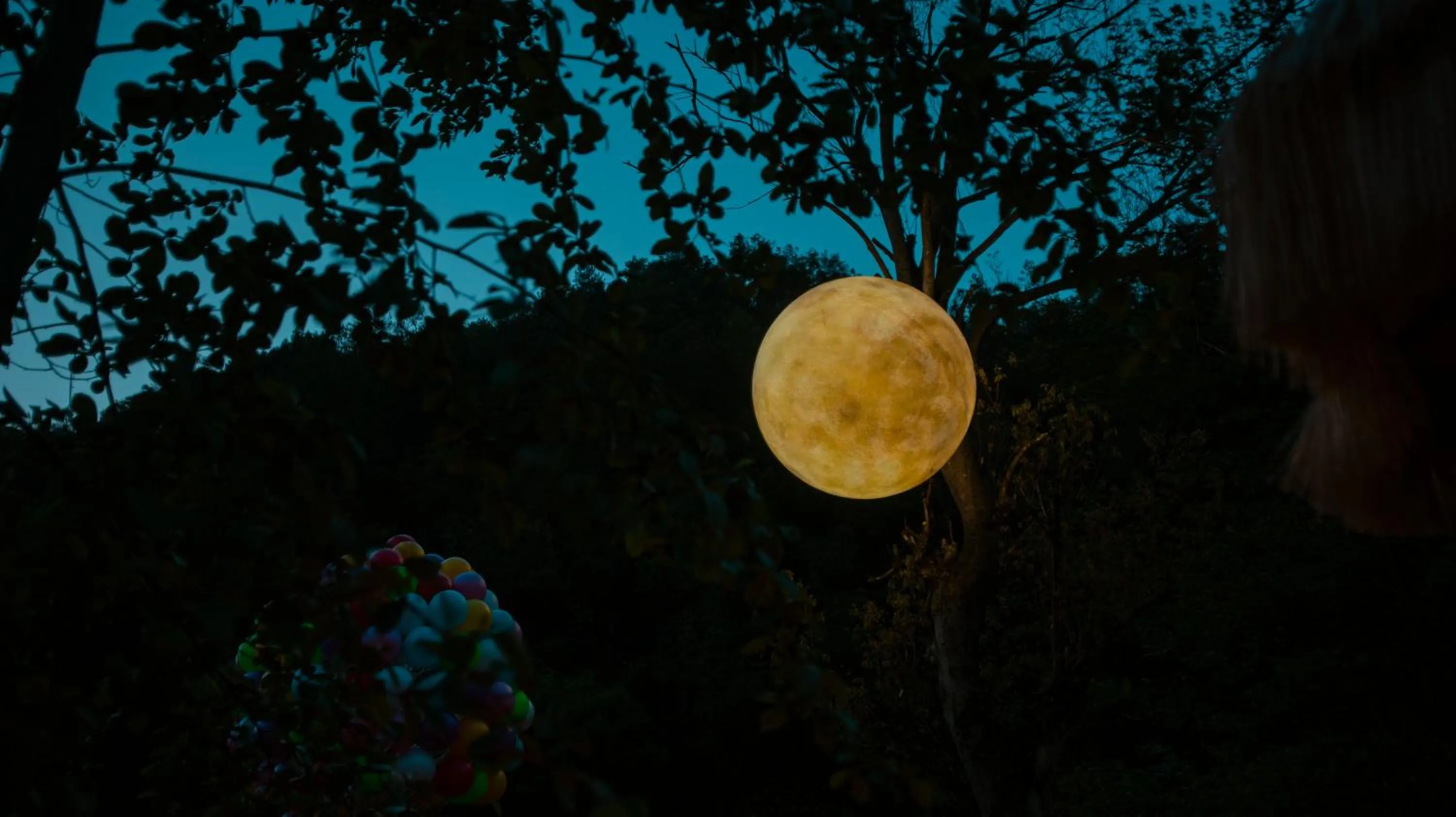 Night in Homeward Mountain Resort