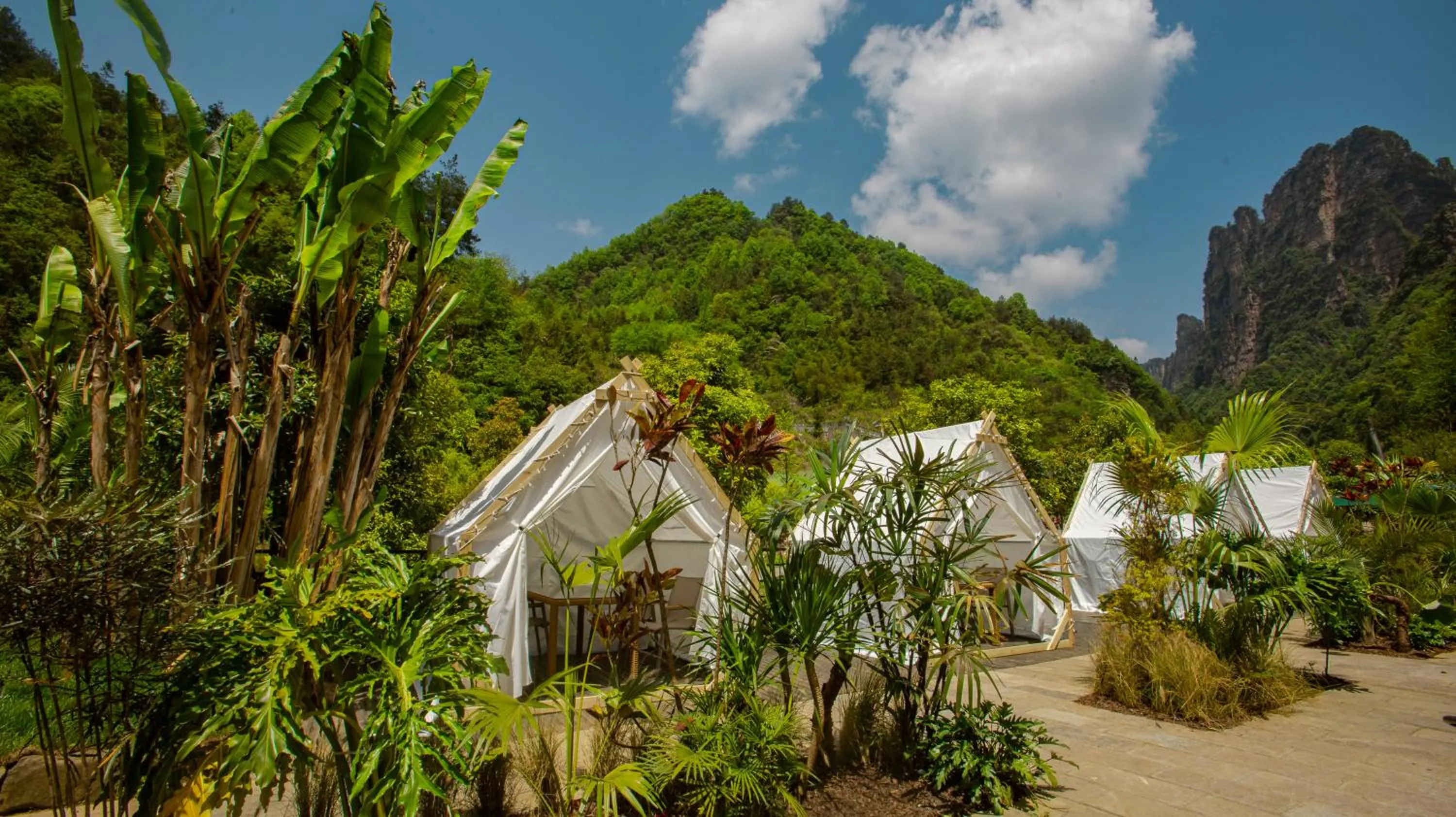 Natural landscape, Property Building in Homeward Mountain Resort