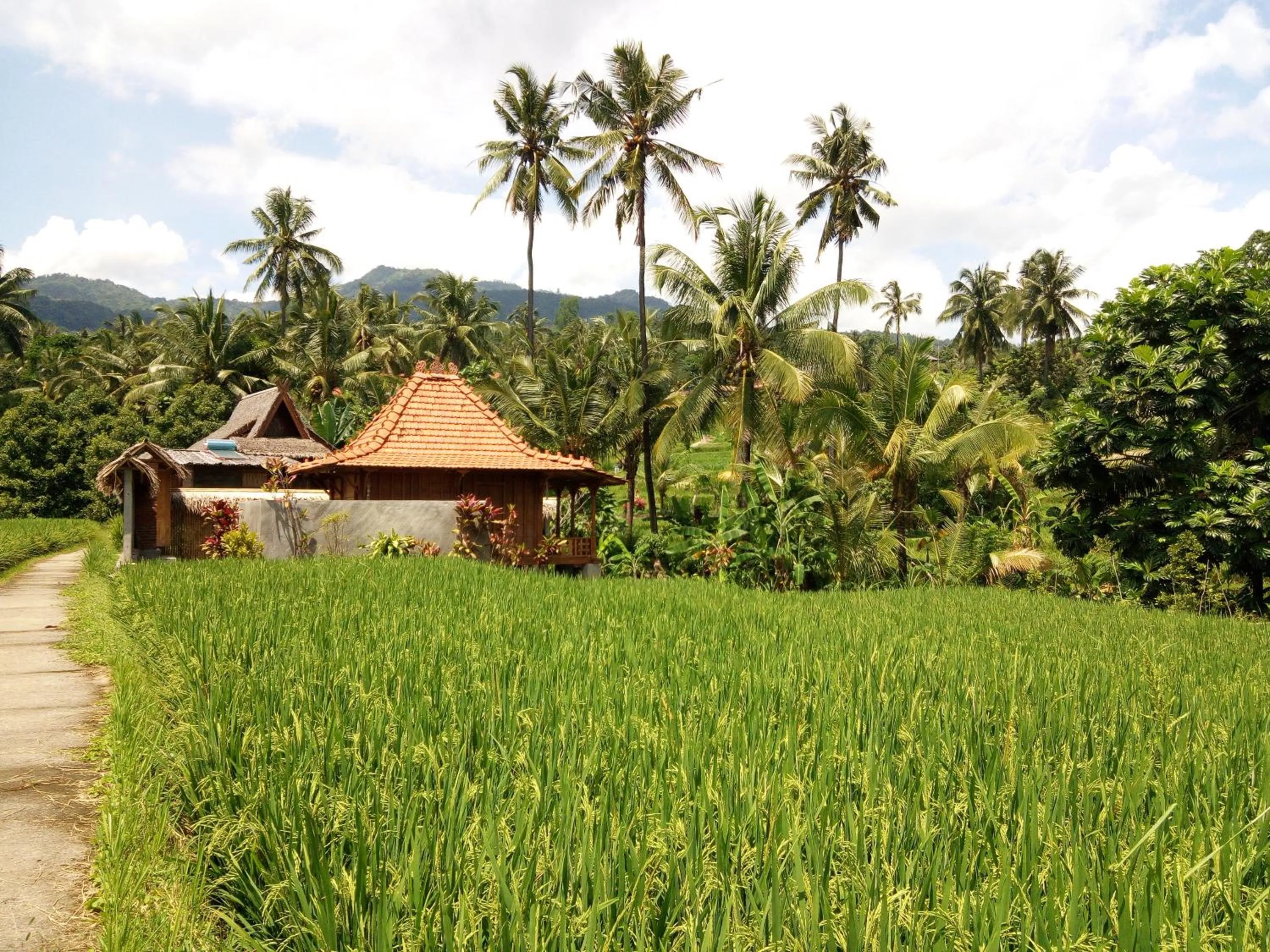 Garden view in Uma Nirmala Aling-Aling