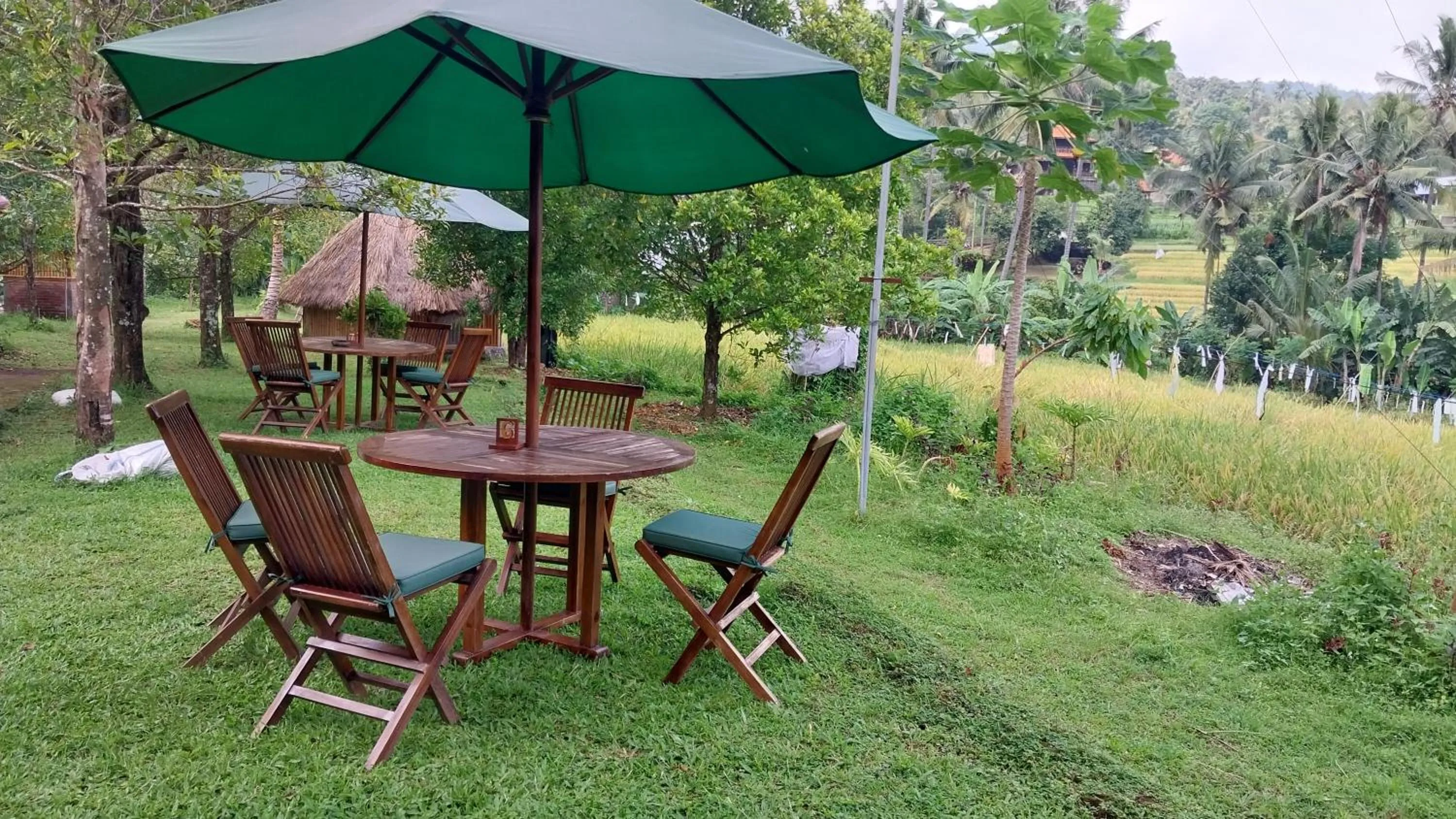 Restaurant/places to eat in Uma Nirmala Aling-Aling