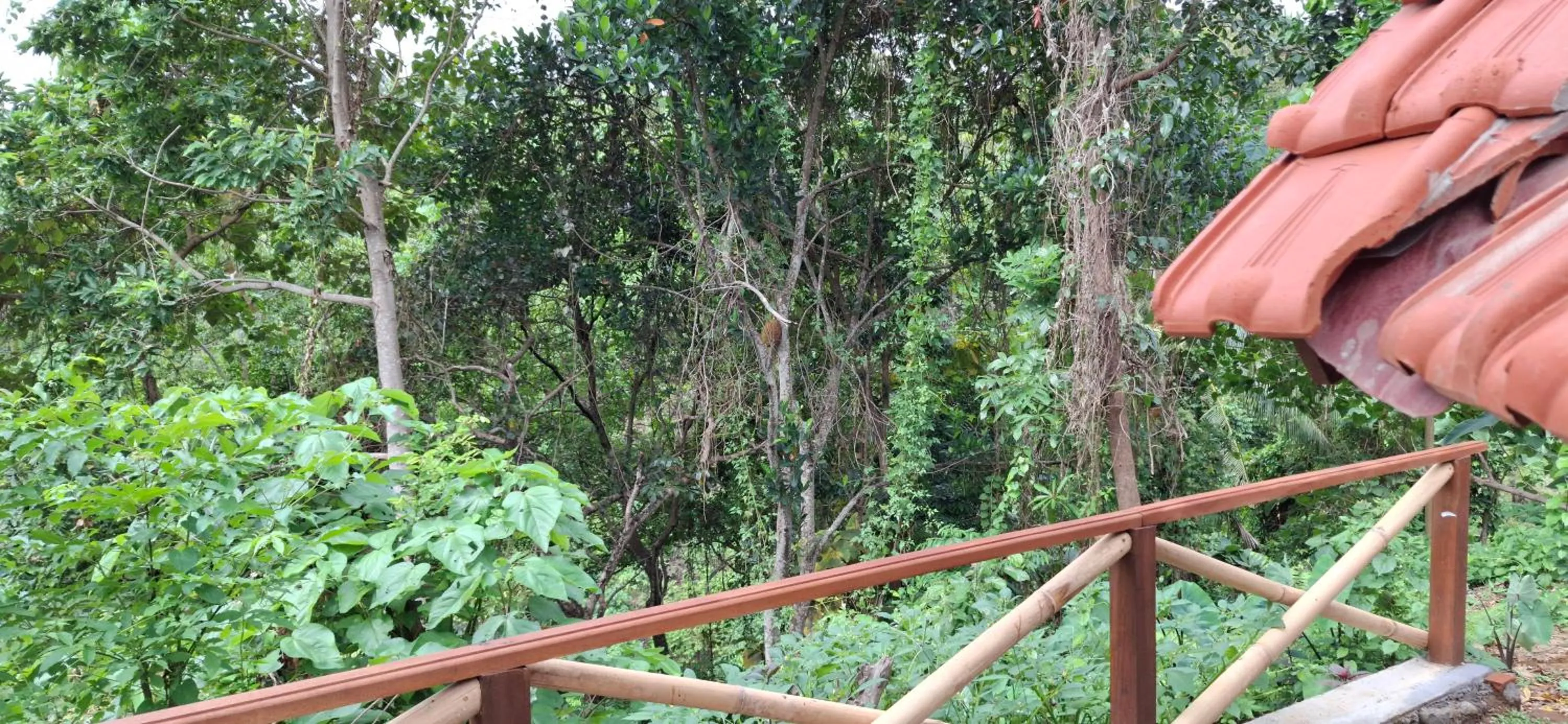 Uma Nirmala Aling-Aling