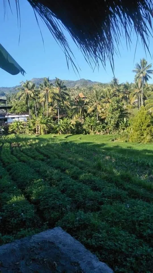 Garden view in Uma Nirmala Aling-Aling