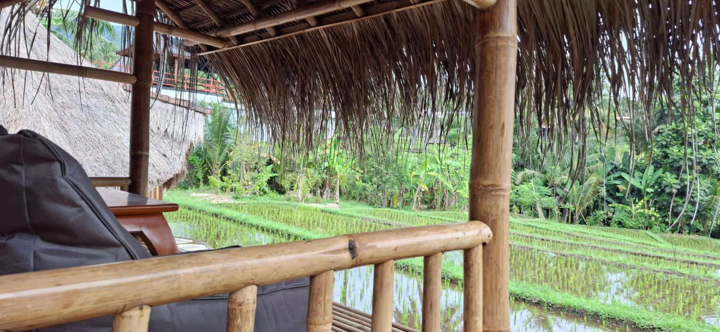 Uma Nirmala Aling-Aling