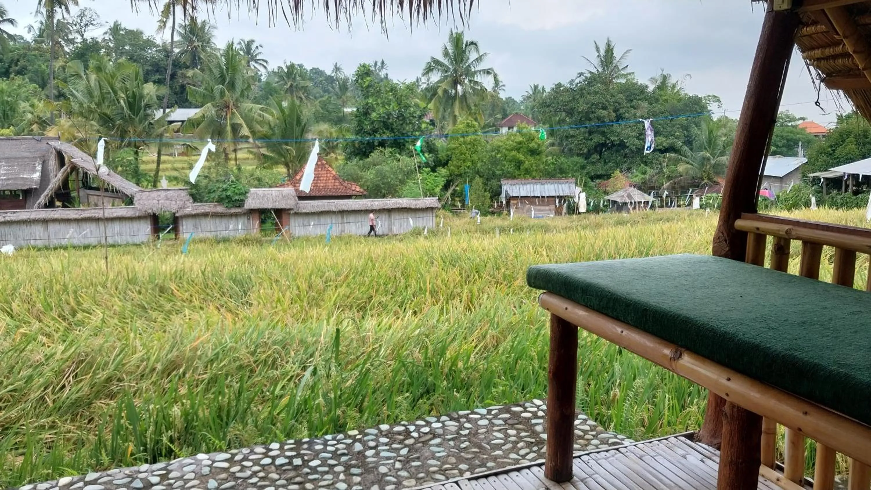 Property building in Uma Nirmala Aling-Aling