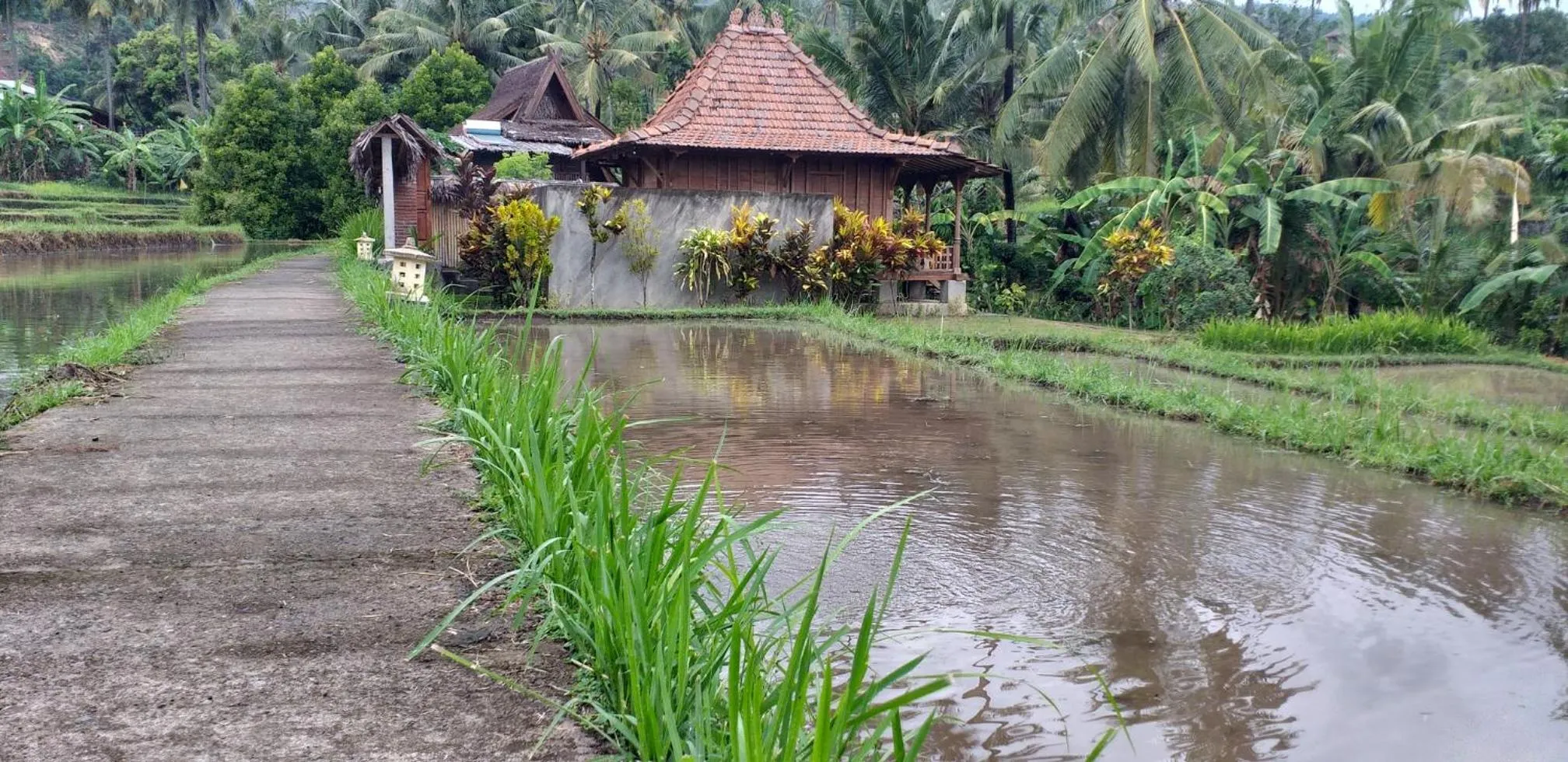 Property building in Uma Nirmala Aling-Aling