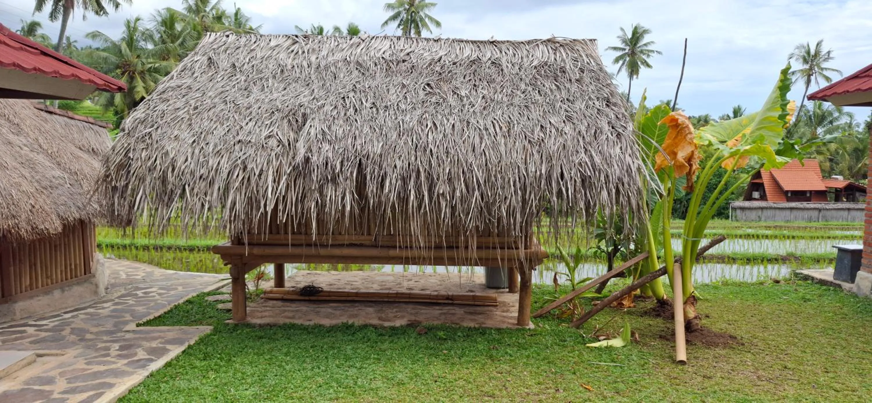 Uma Nirmala Aling-Aling