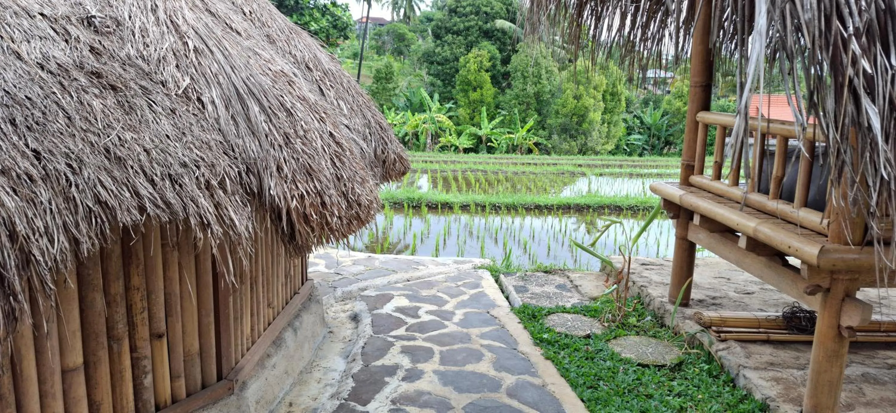 Uma Nirmala Aling-Aling