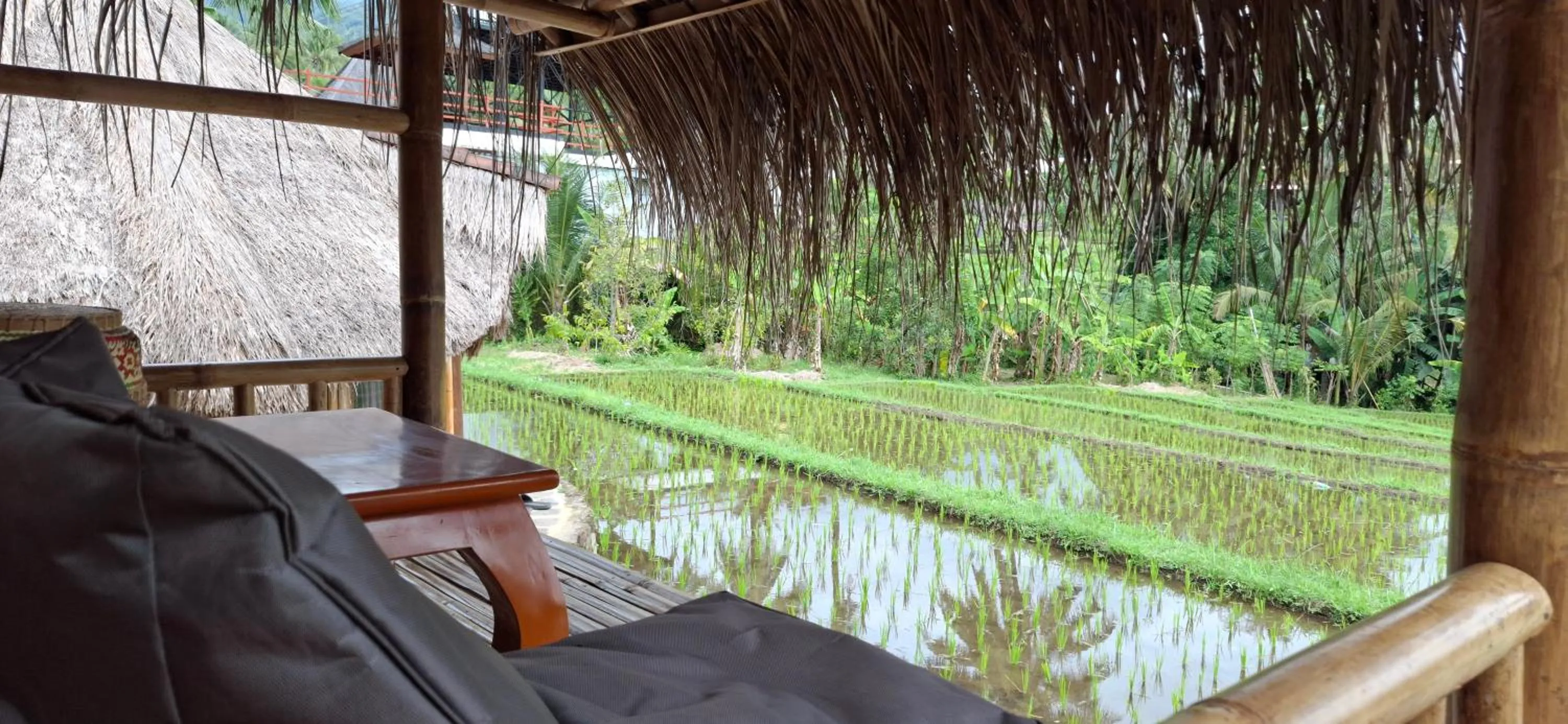 Uma Nirmala Aling-Aling