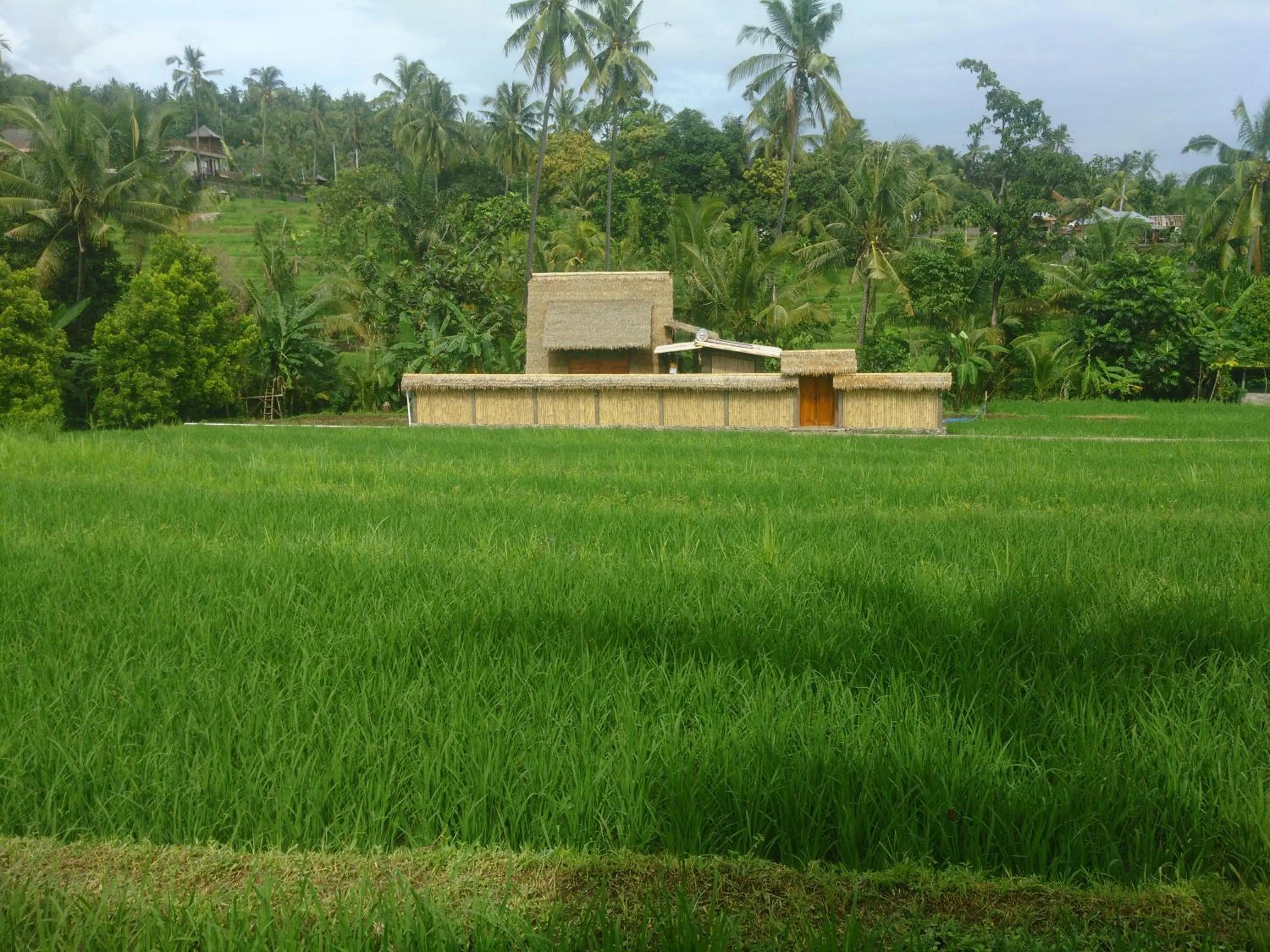 Property building in Uma Nirmala Aling-Aling