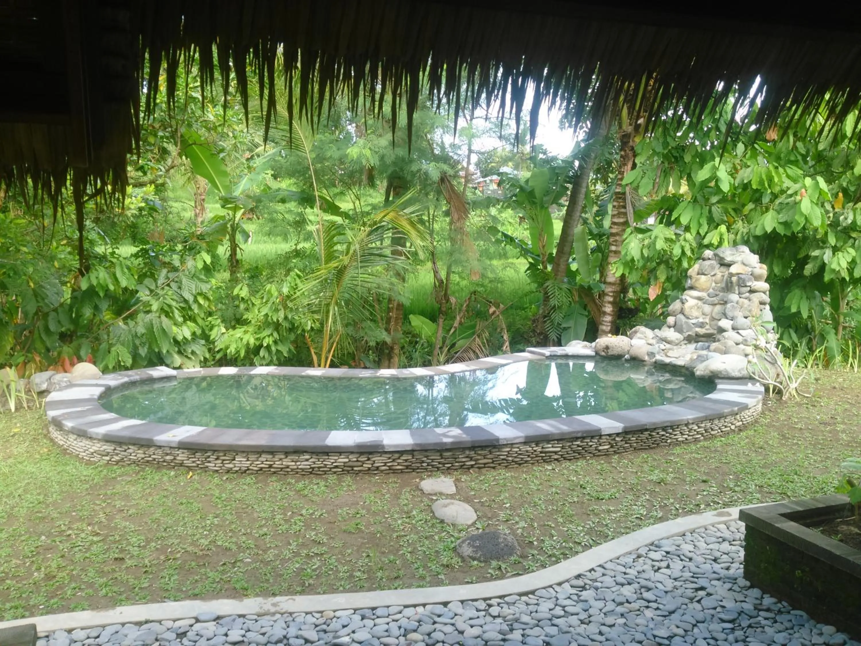 Pool view in Uma Nirmala Aling-Aling