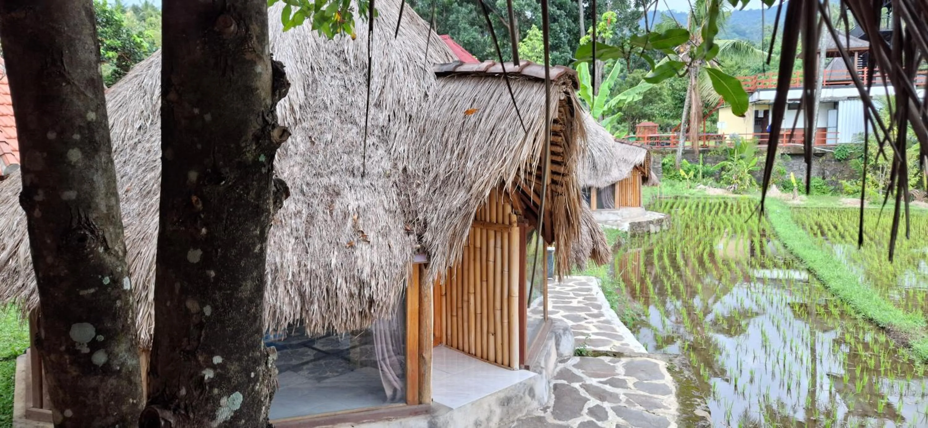 Uma Nirmala Aling-Aling