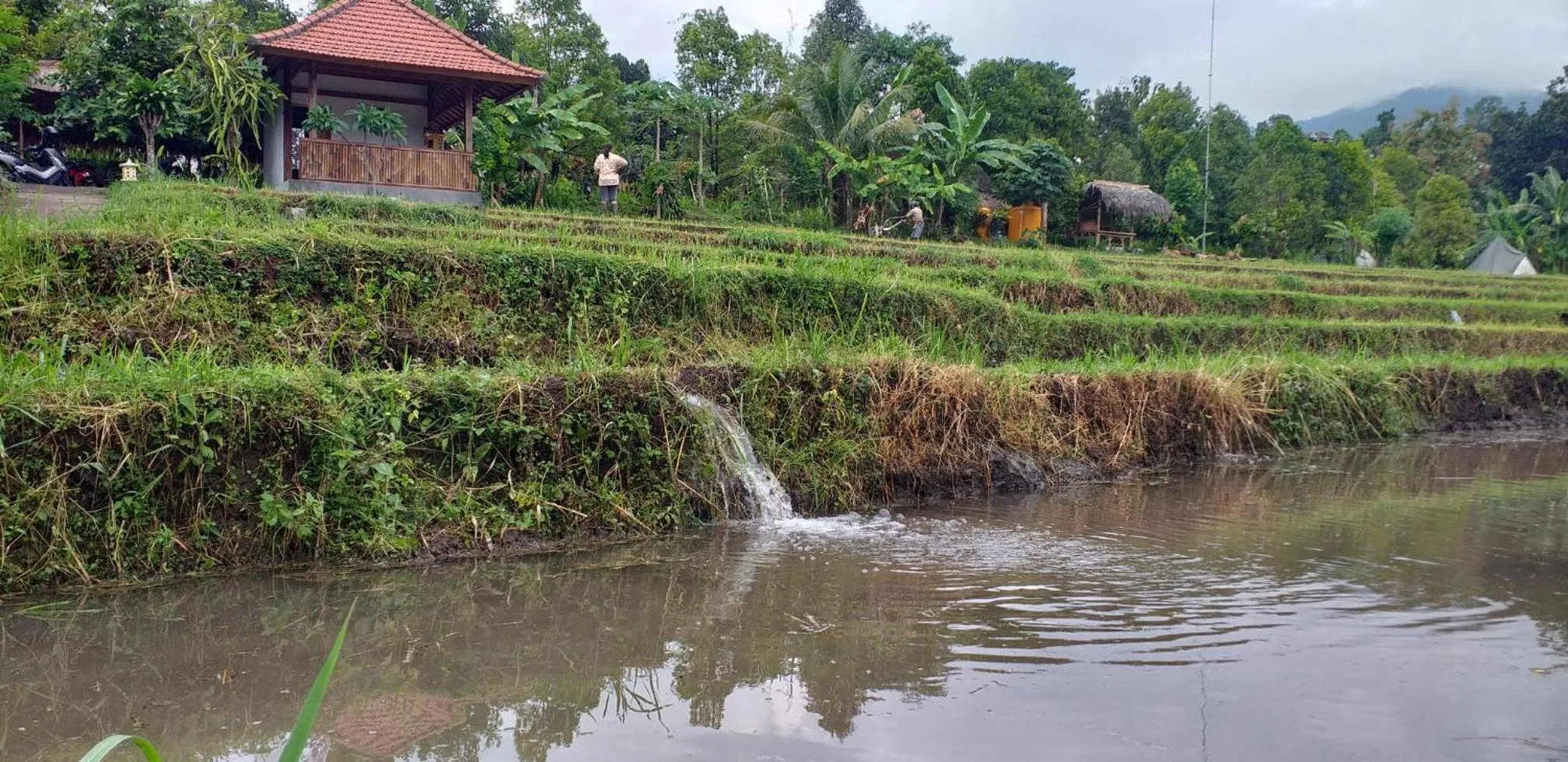 Natural landscape in Uma Nirmala Aling-Aling