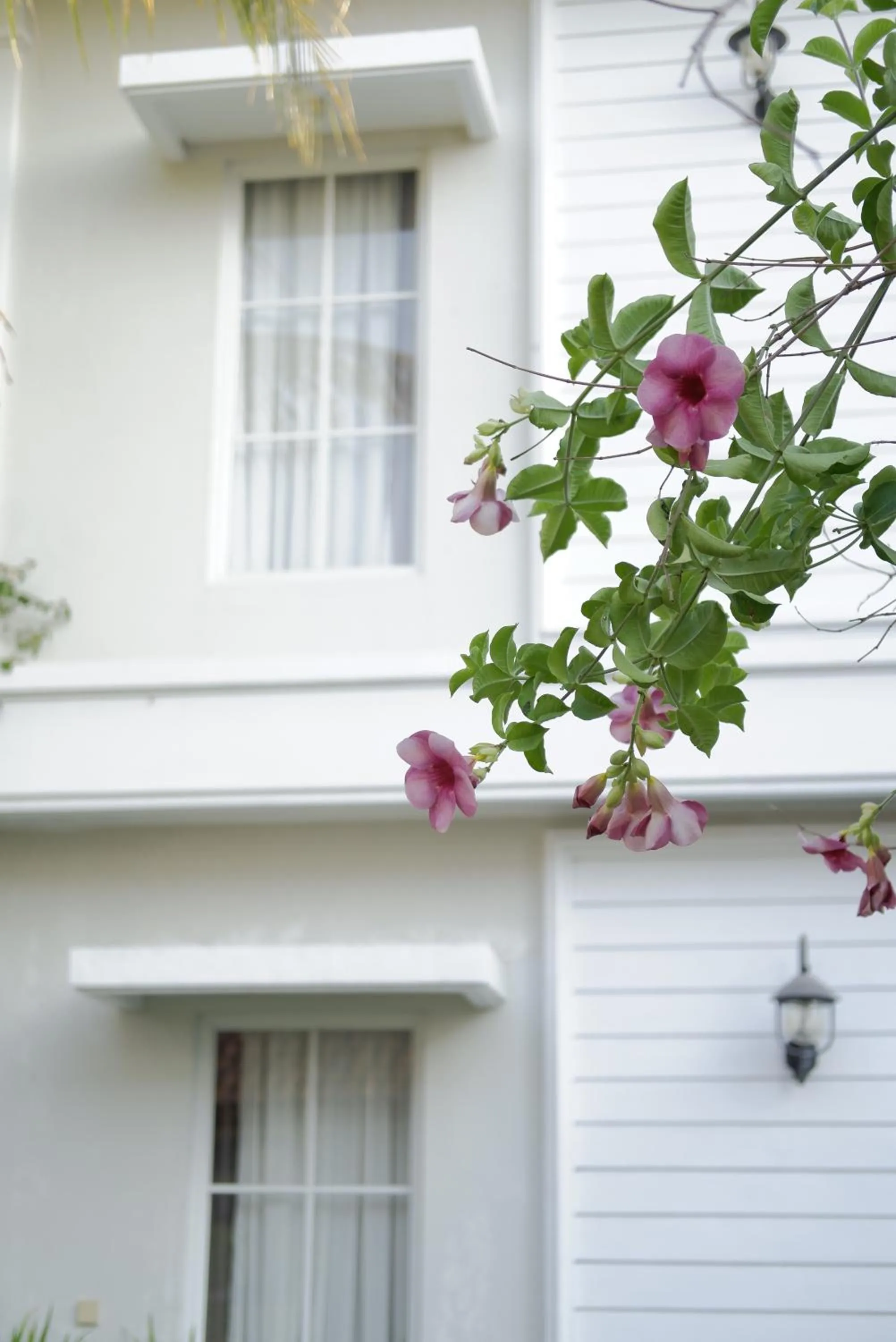 Sevilla Resort Magelang