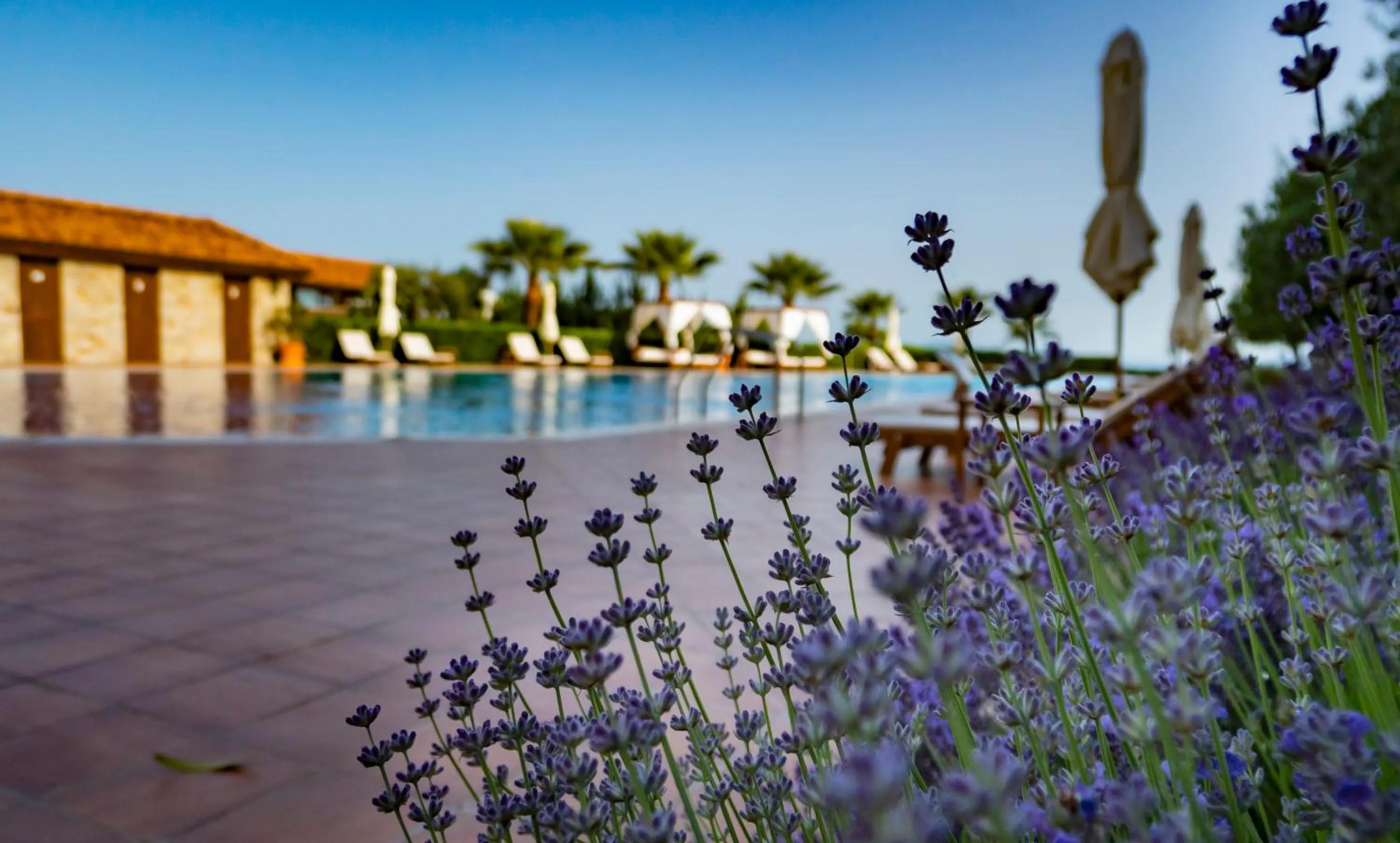 Burgas Beach Resort Apartments