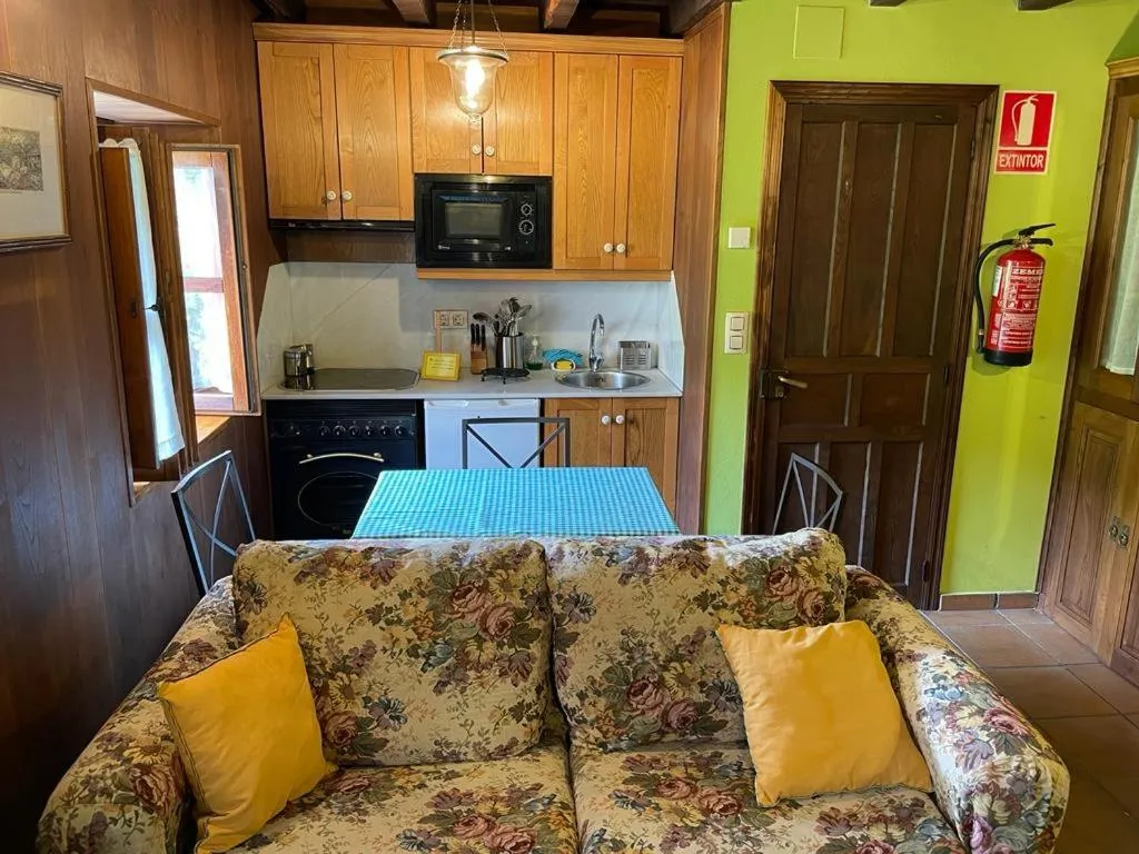 Kitchen or kitchenette in Hotel y apartamentos rurales L'Anceo