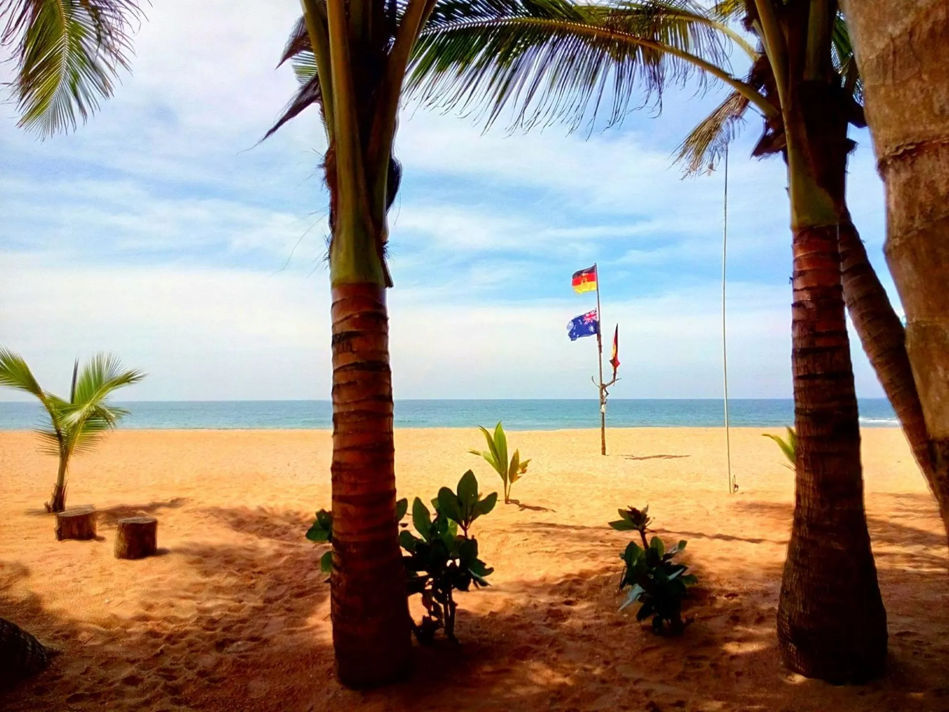 Restaurant/places to eat in Sri Lancashire Guest House