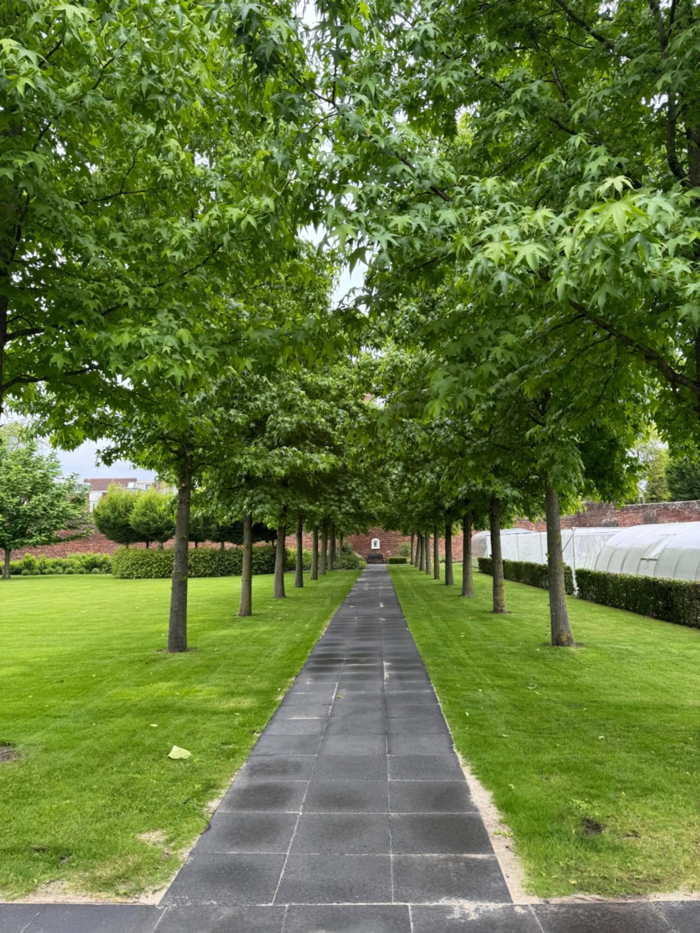 Garden in B&B Maria Hart