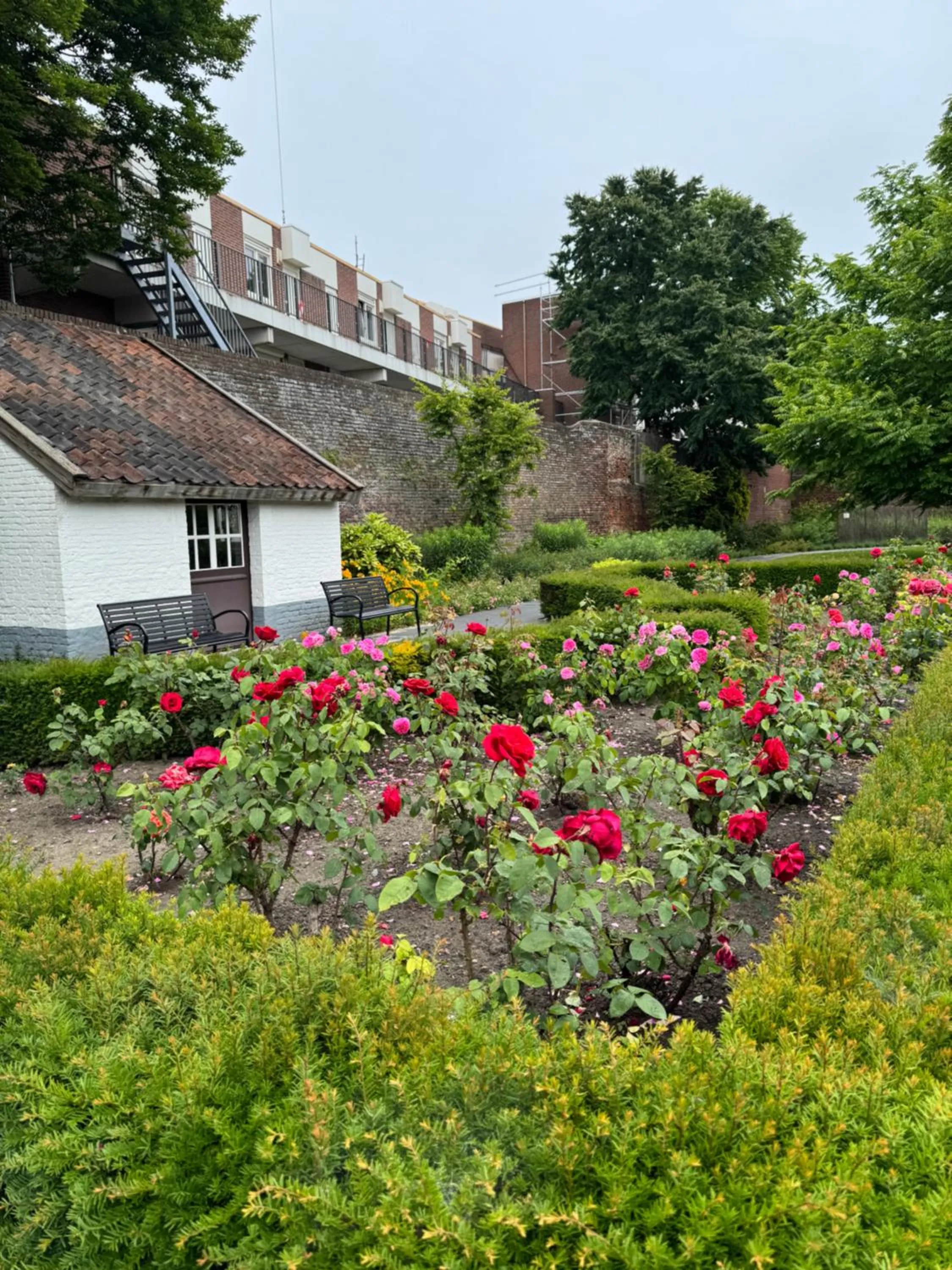 Garden in B&B Maria Hart
