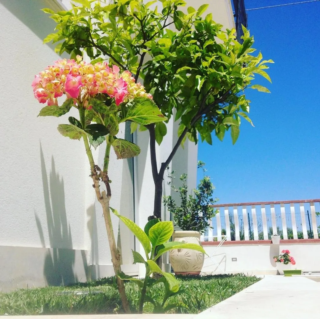 Corte Sveva Affittacamere