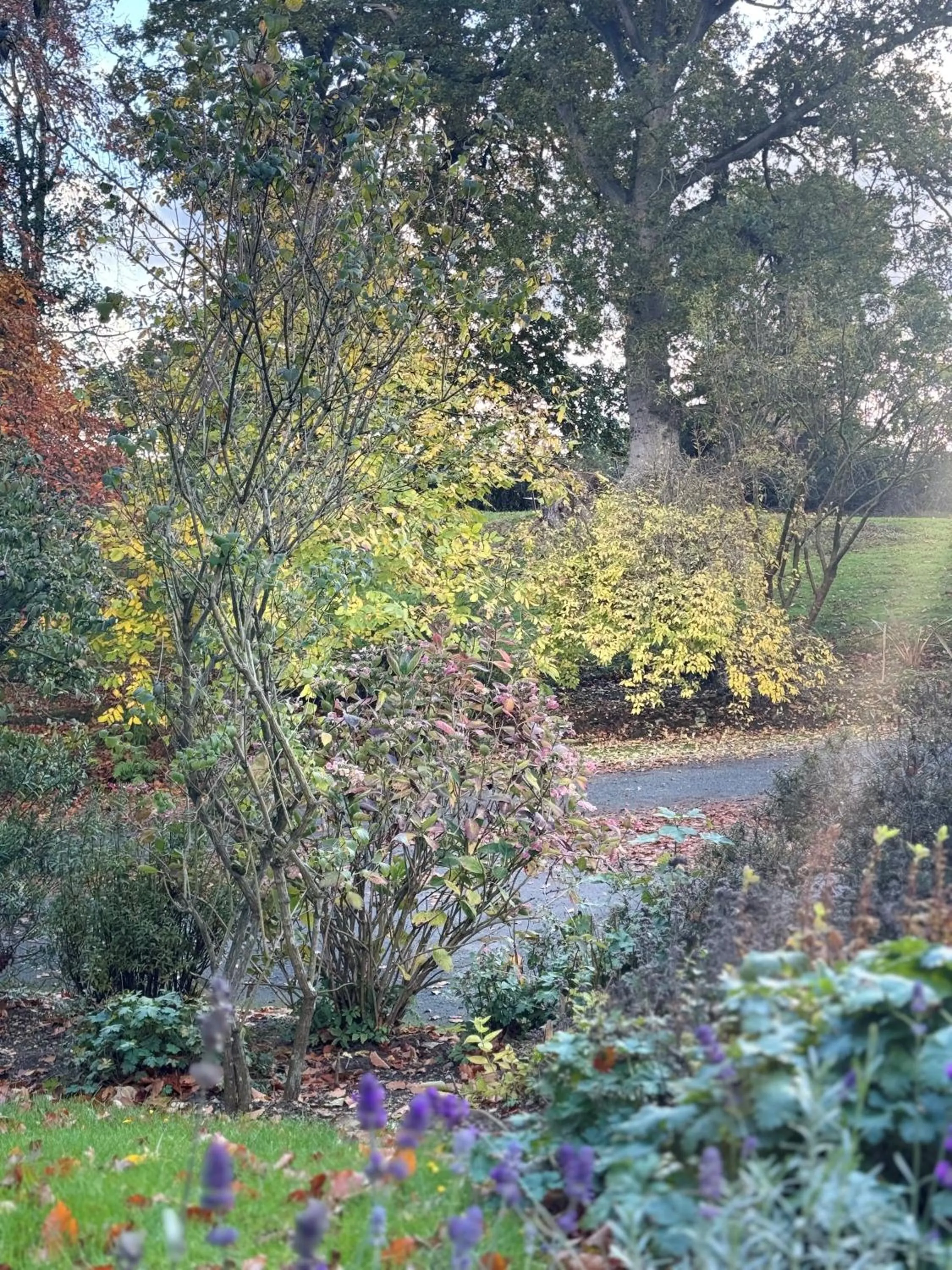 Scarborough Hill Country Inn