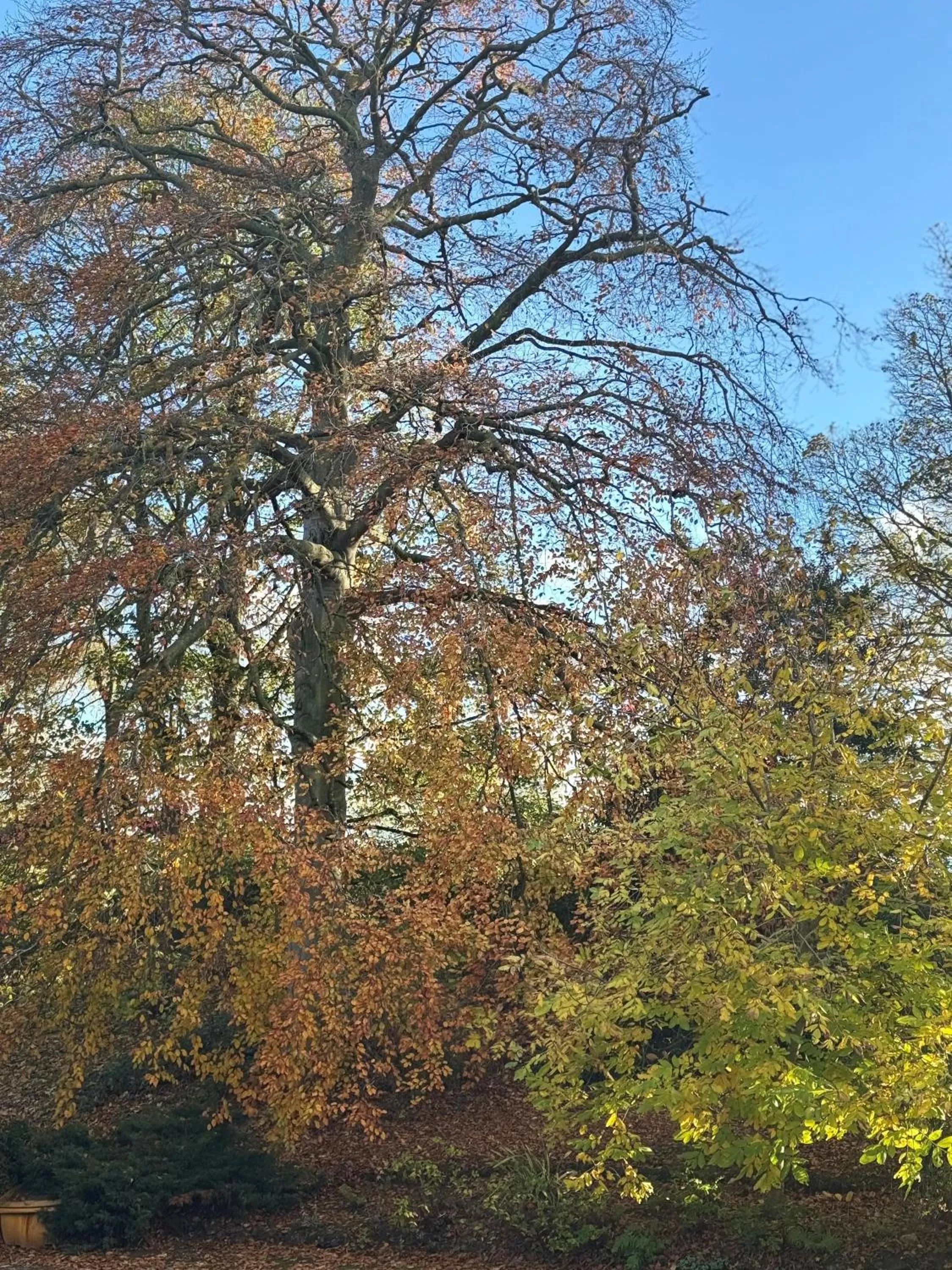 Scarborough Hill Country Inn