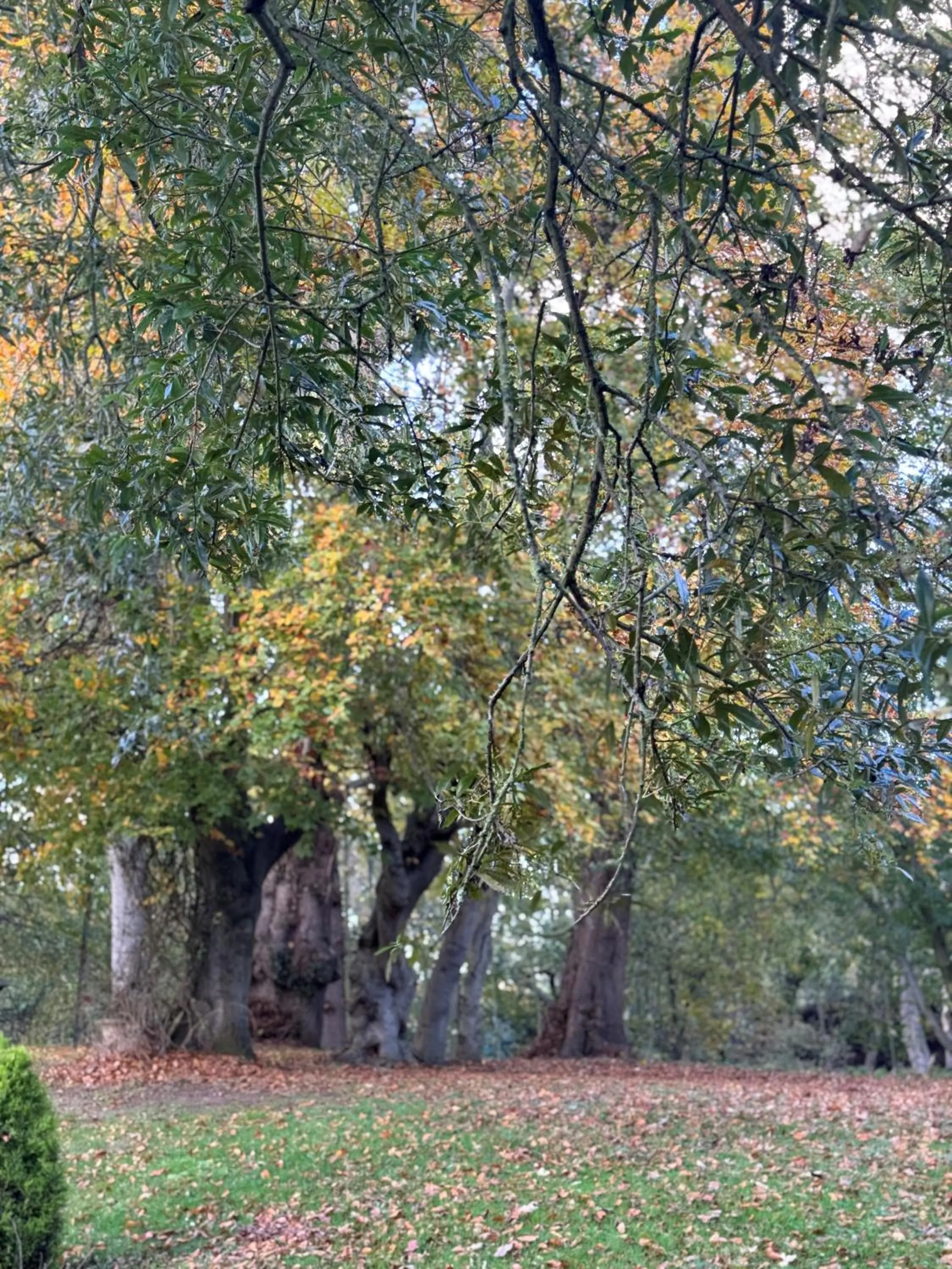 Scarborough Hill Country Inn