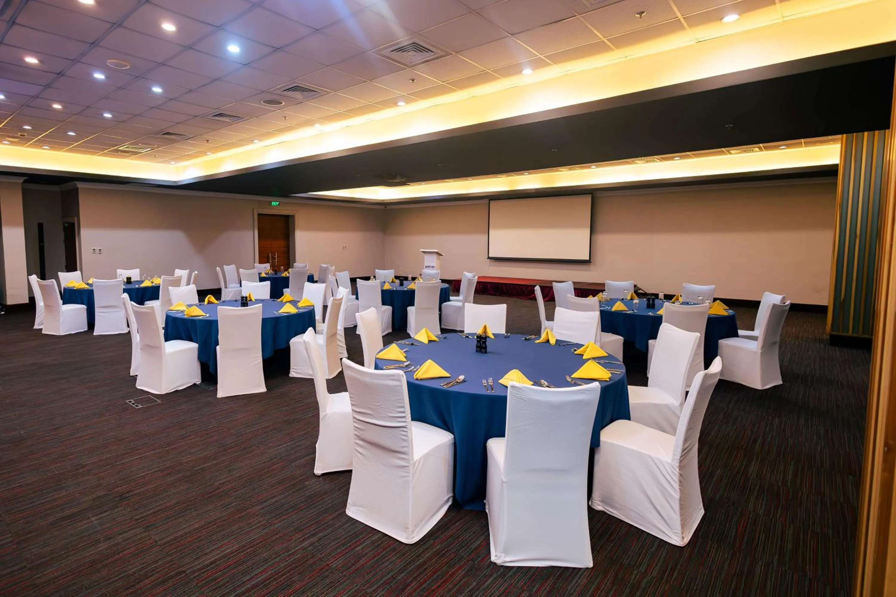 Banquet/Function facilities in Park Inn by Radisson, Kigali