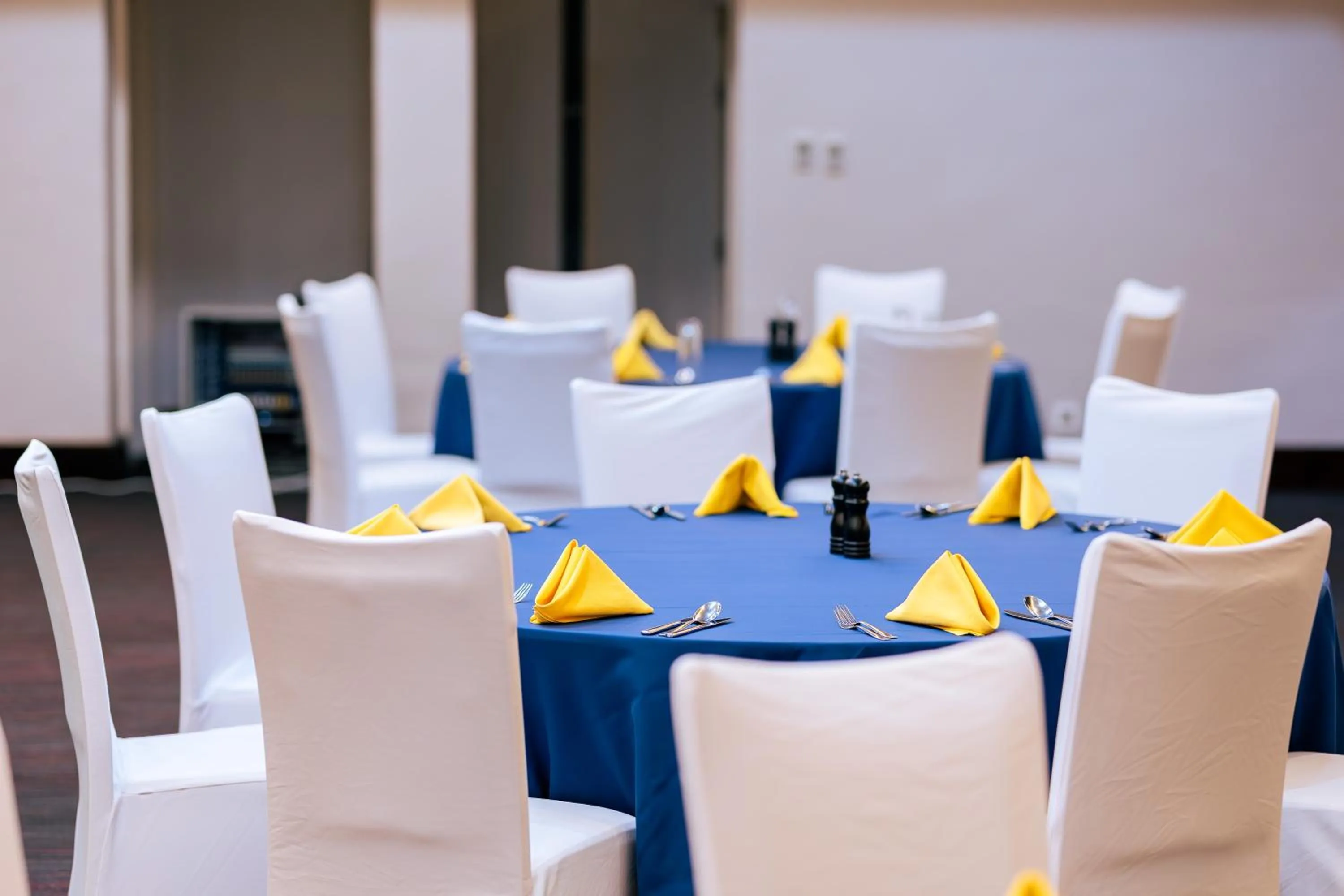 Banquet/Function facilities in Park Inn by Radisson, Kigali