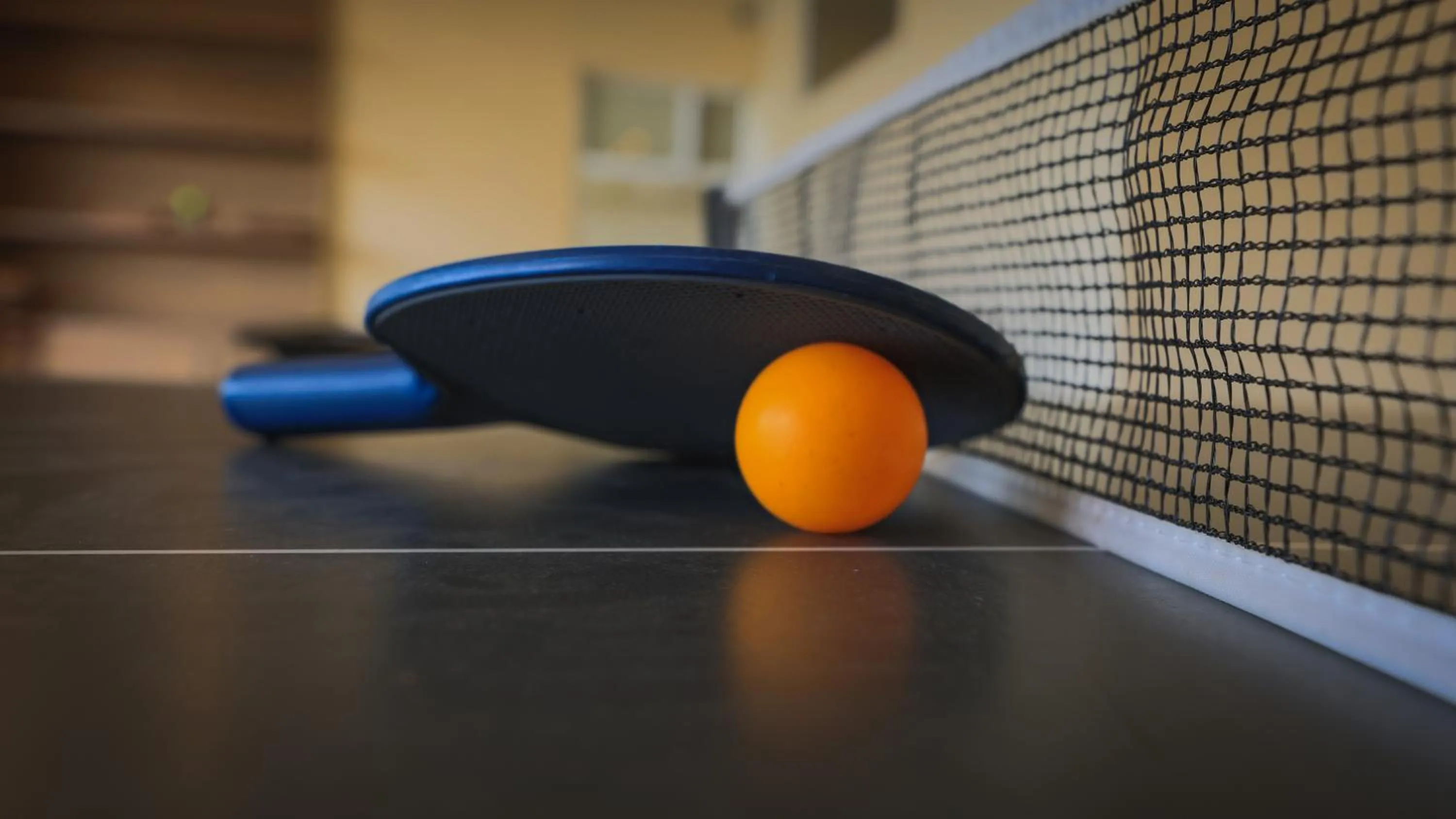 Table tennis in Shola Crown Resort - Munnar