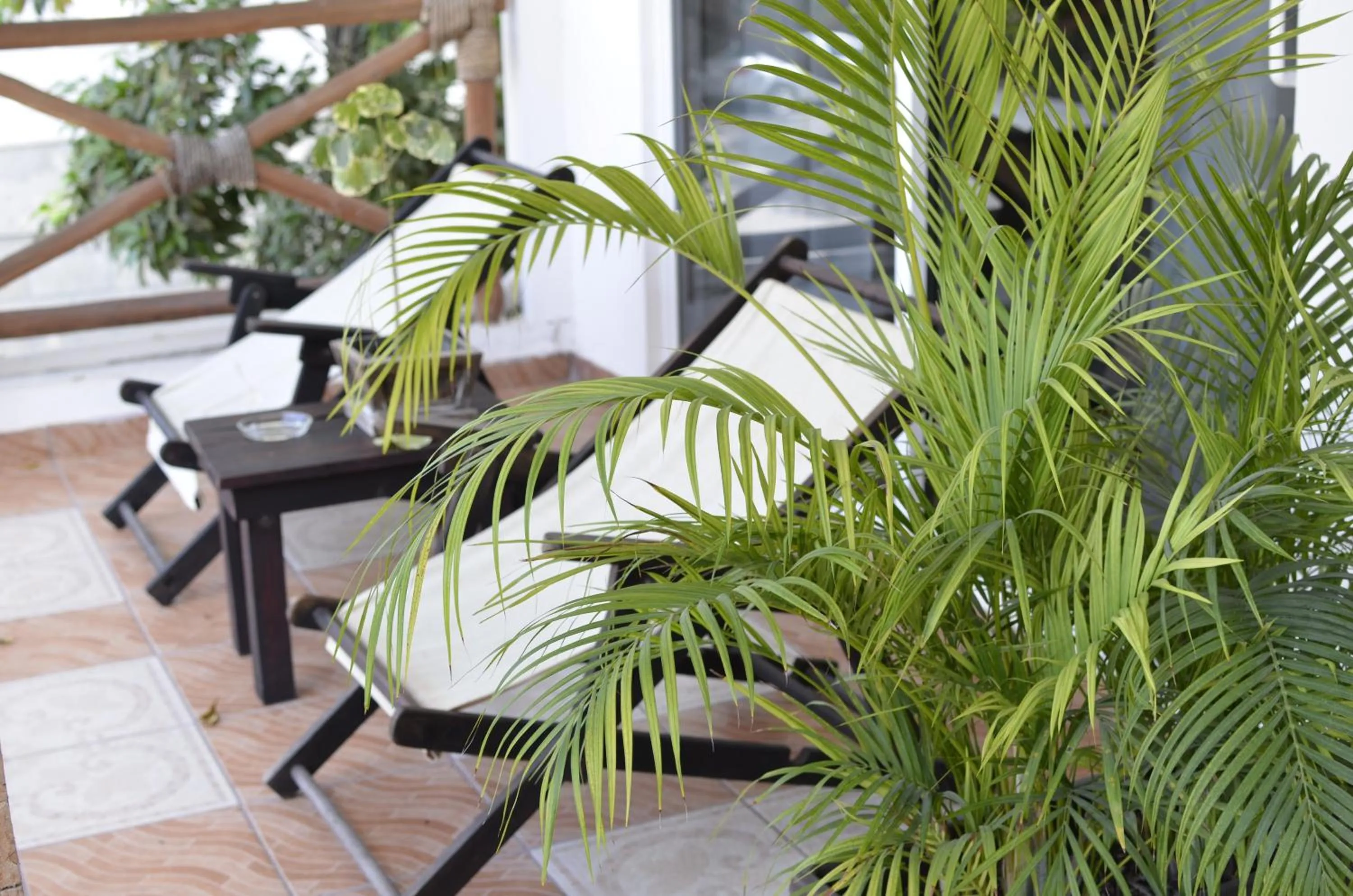 Balcony/Terrace in Hotel Nicte Ha Tulum