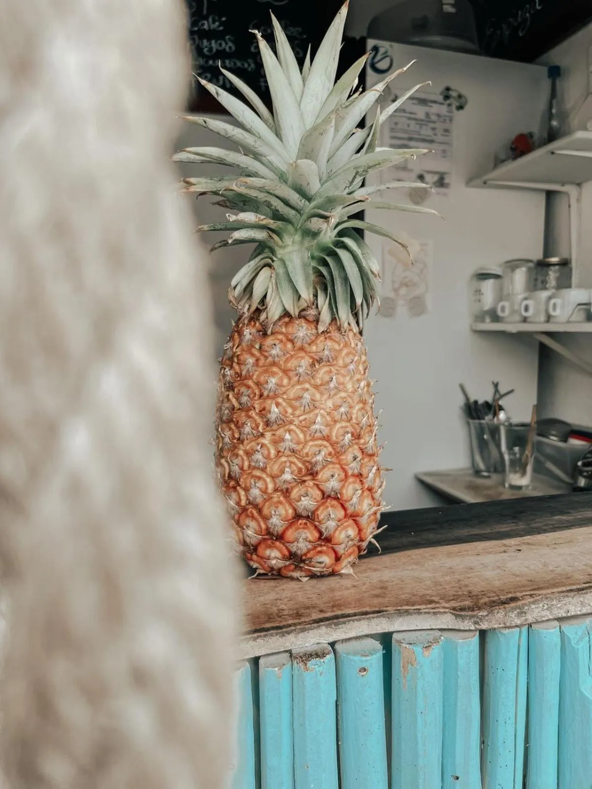 Hotel Nicte Ha Tulum