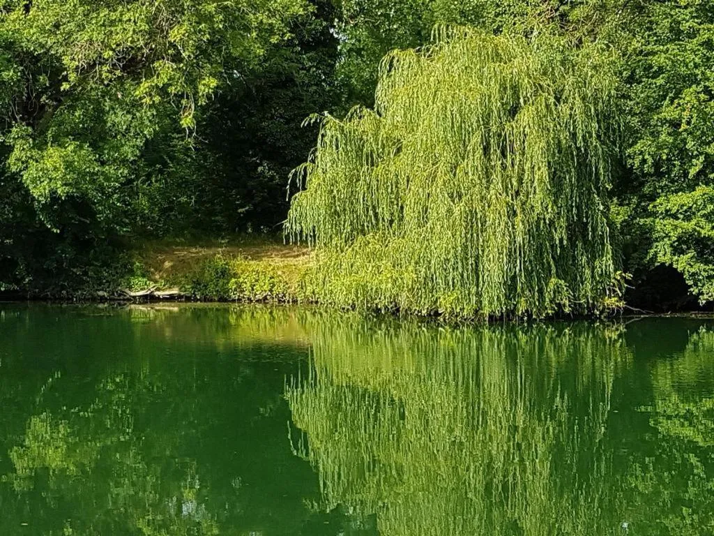 Other in Face Au Jardin