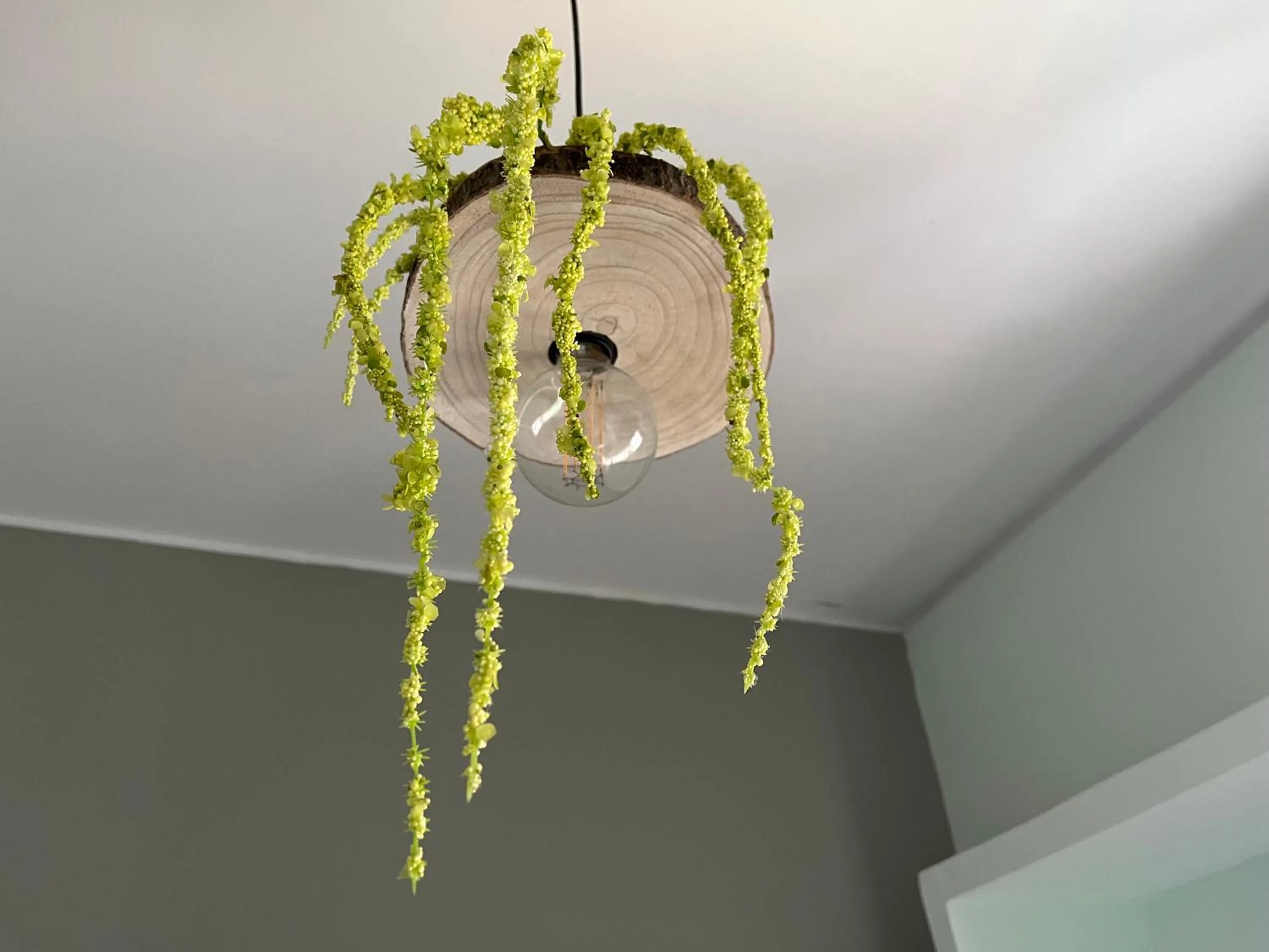 Decorative detail in Mirandesa Garden