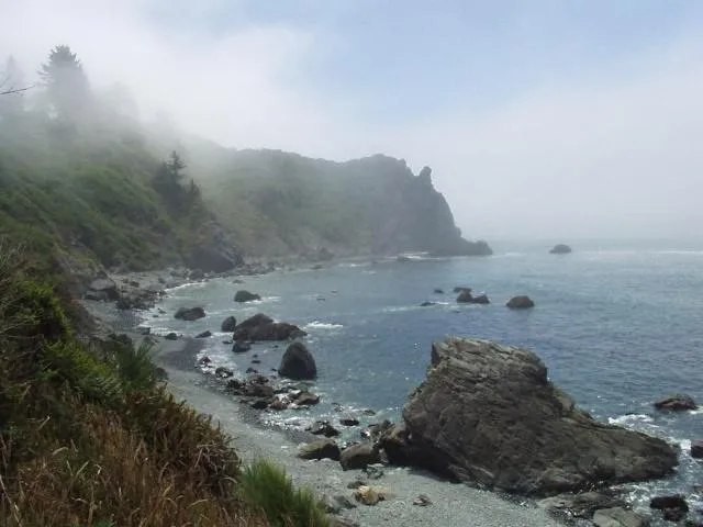 Beach in Lost Whale Inn