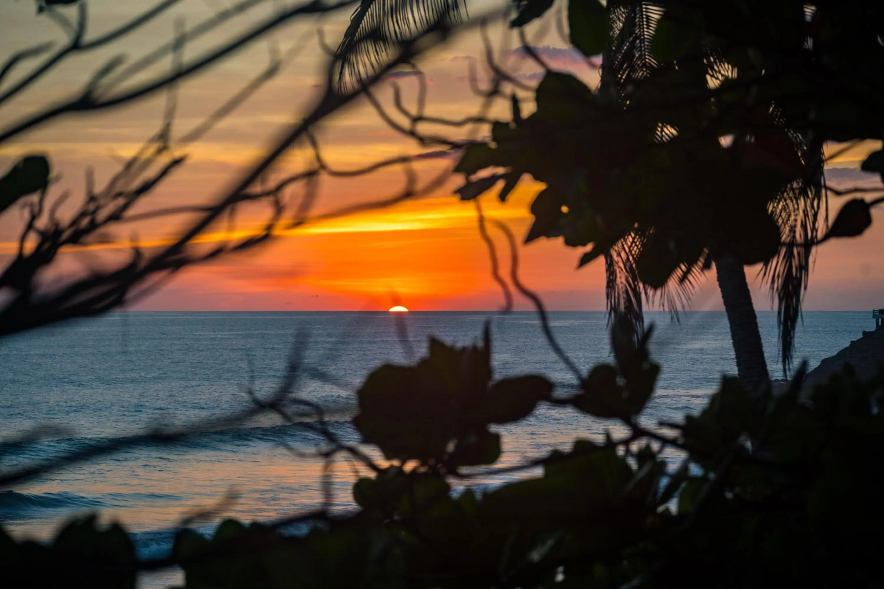 Puro Surf Hotel & Performance Academy