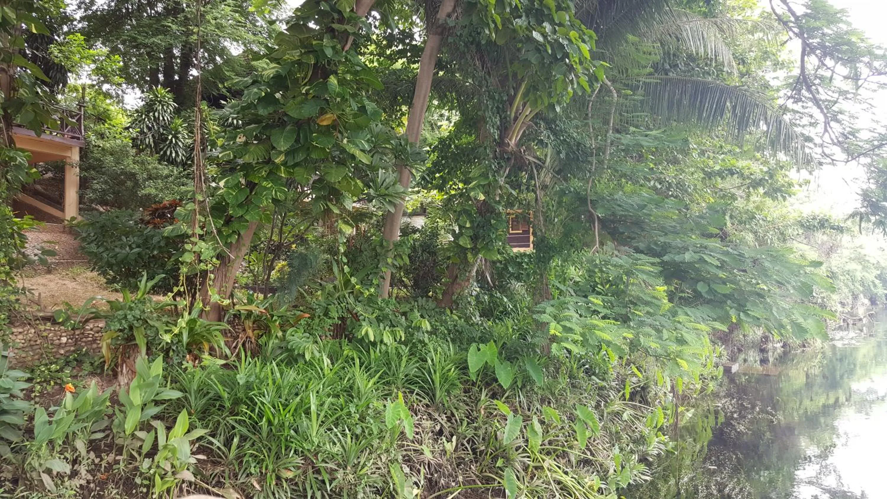 Natural landscape in Ratmanee House