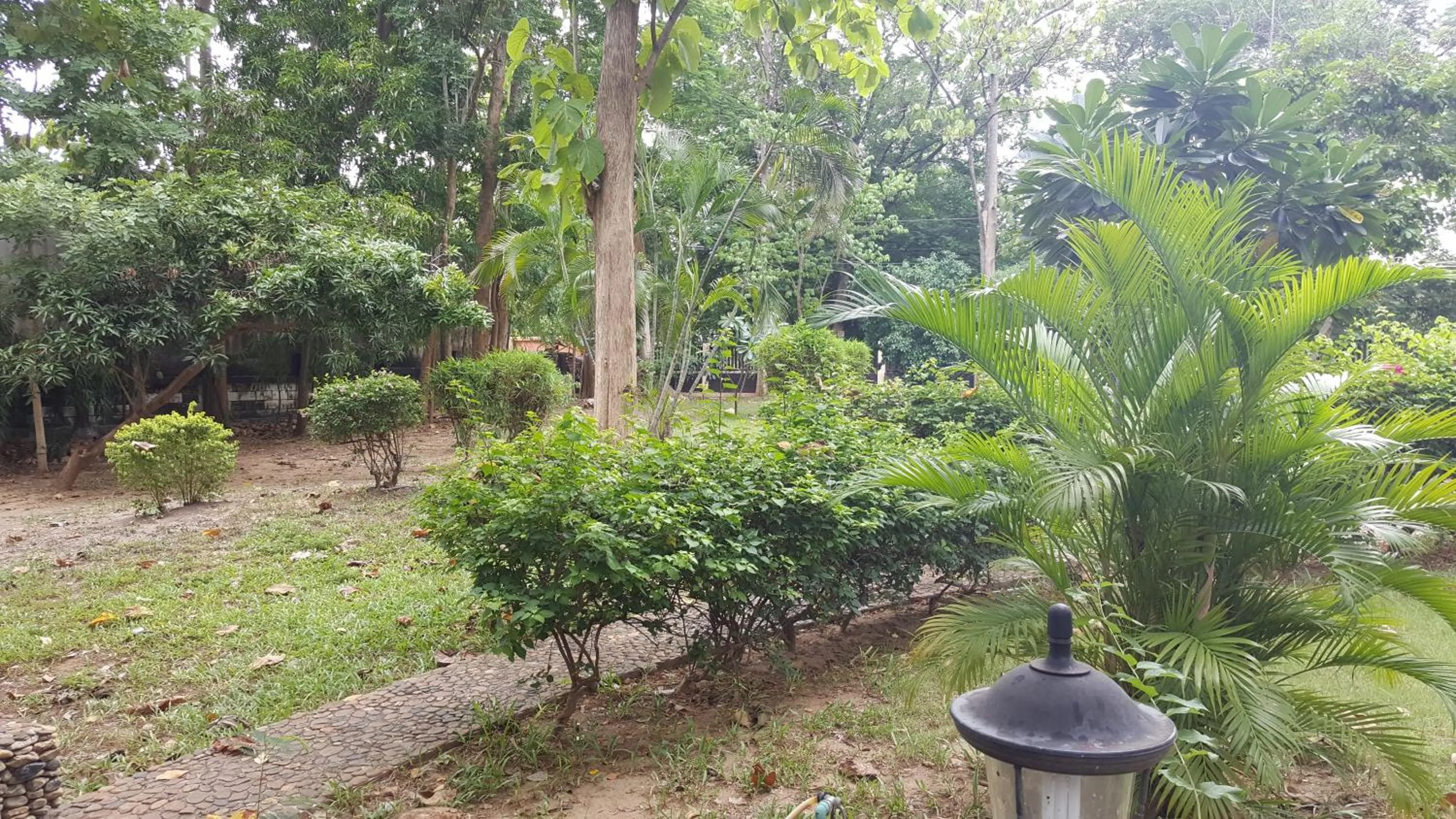 Natural landscape in Ratmanee House