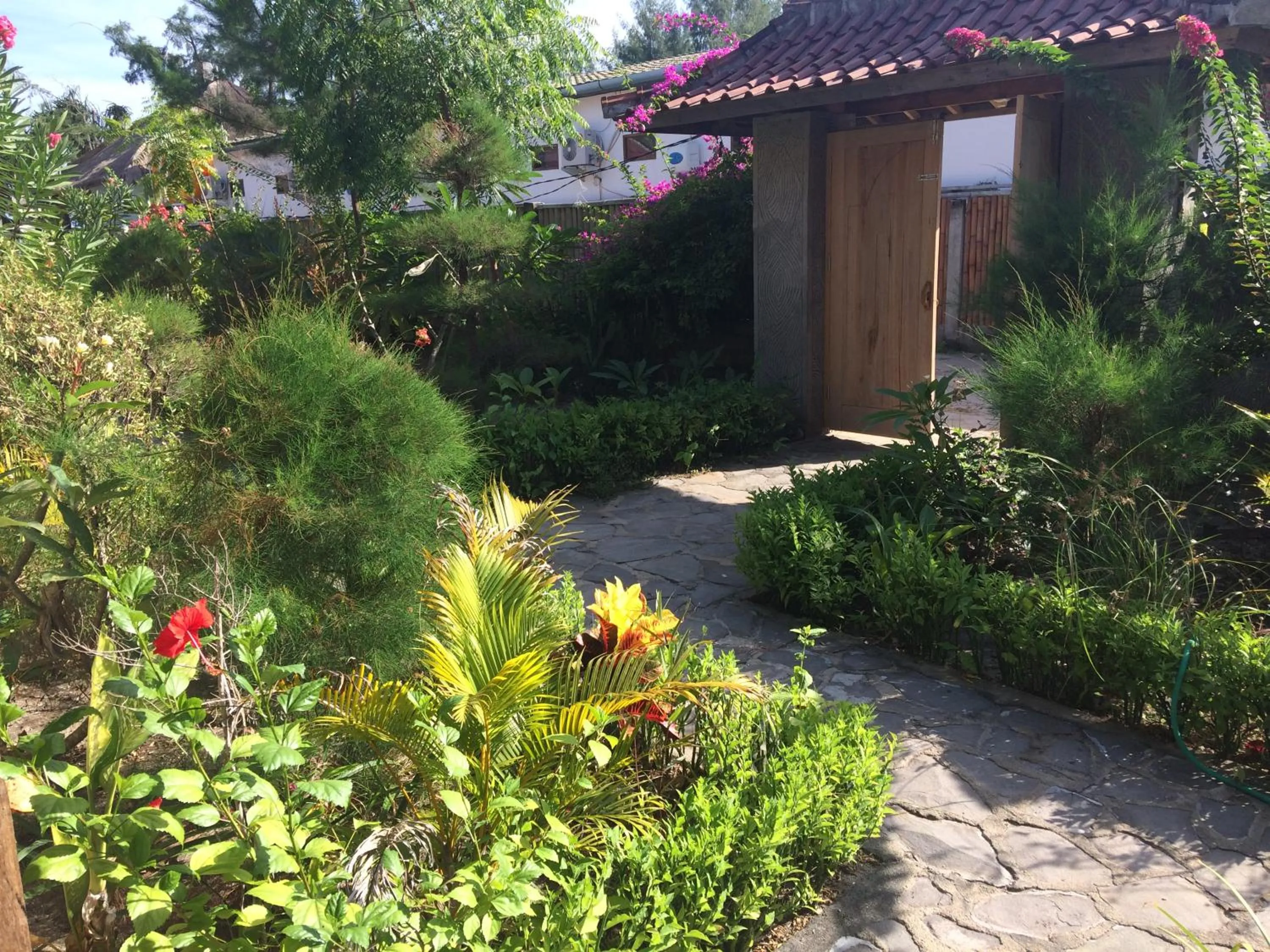 Garden view in Gili Beach