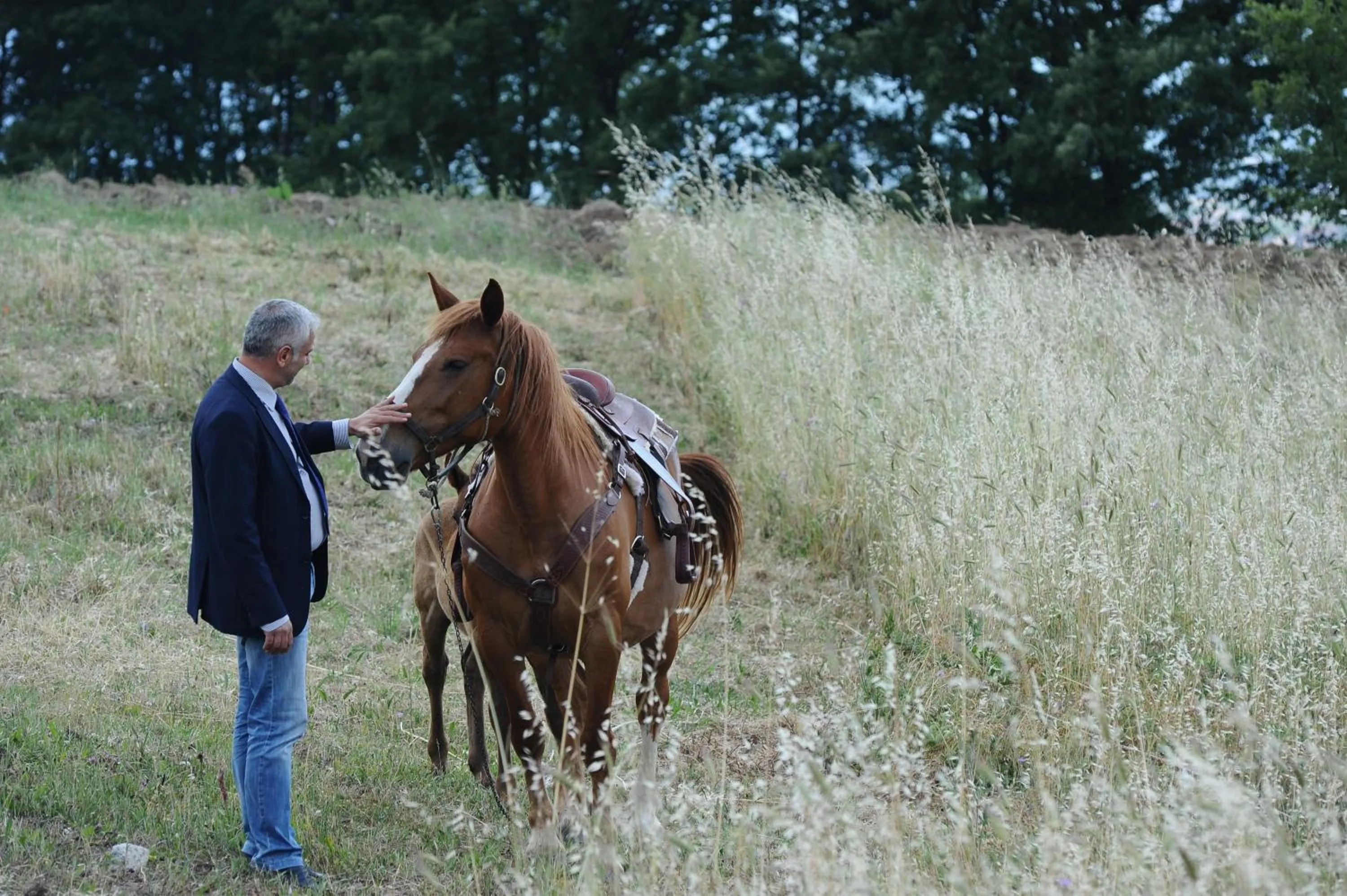 Horse-riding in Eliceto Resort & SPA