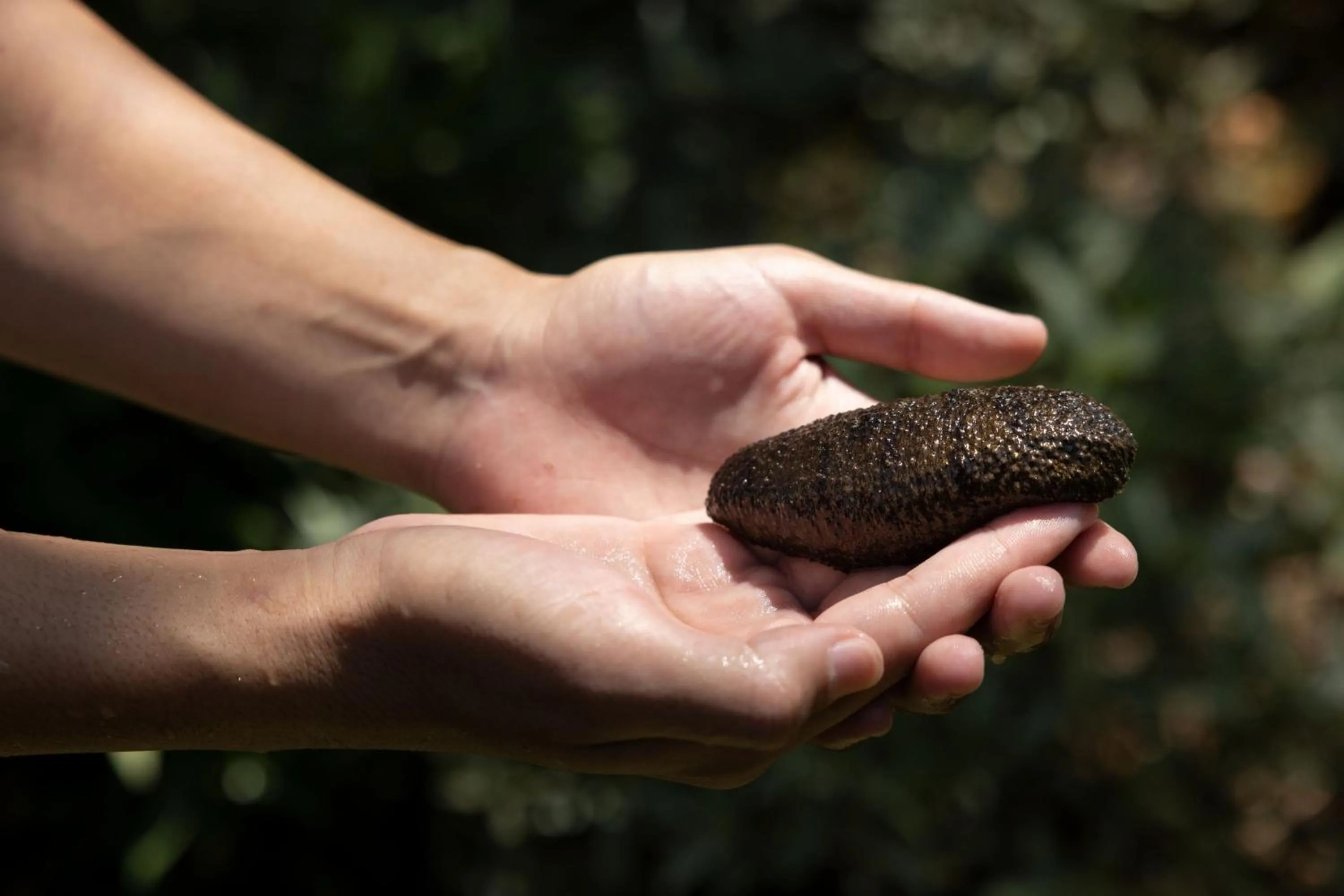 Other in The Ritz-Carlton, Langkawi