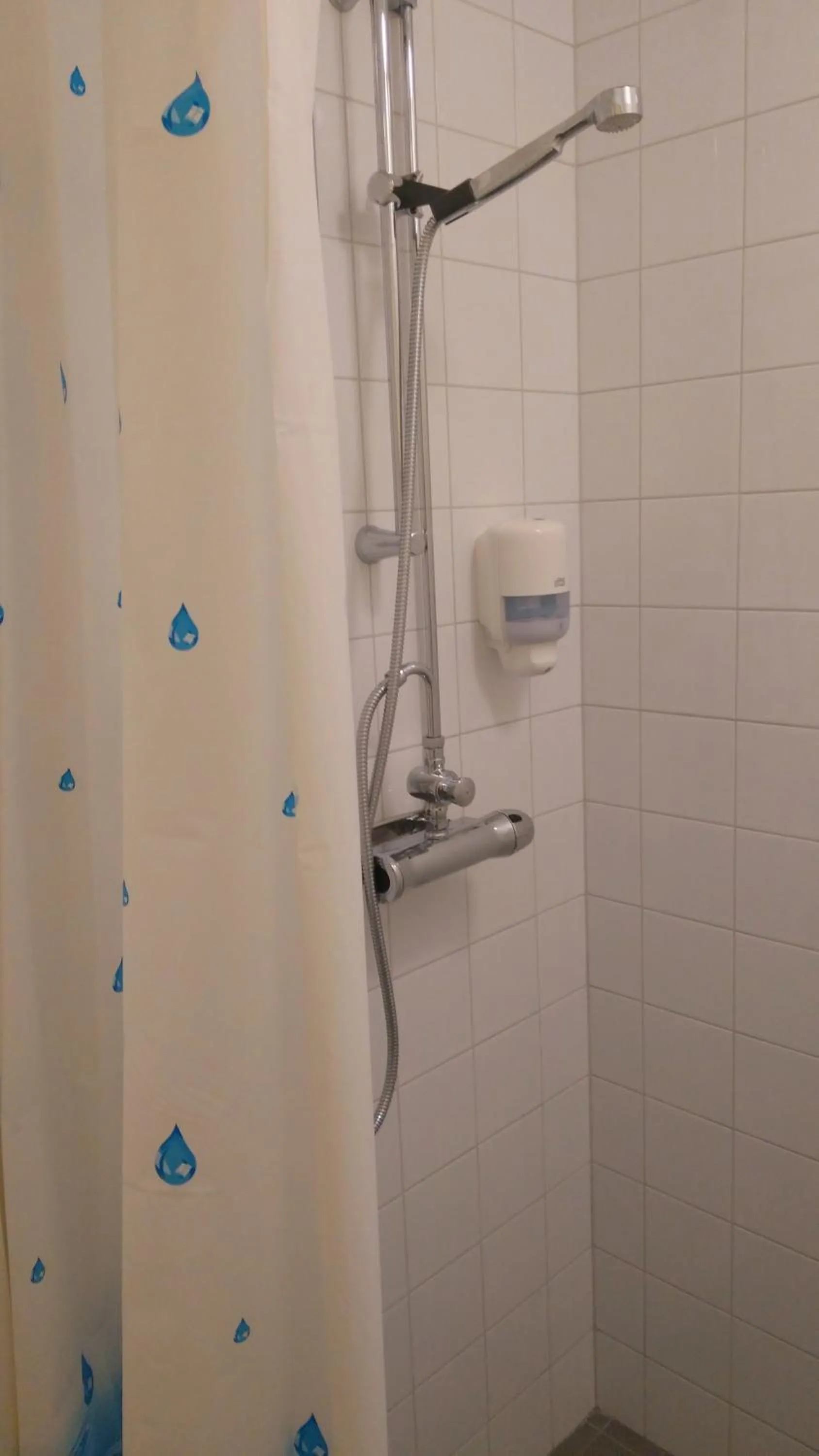 Shower in Polhem Bed & Breakfast