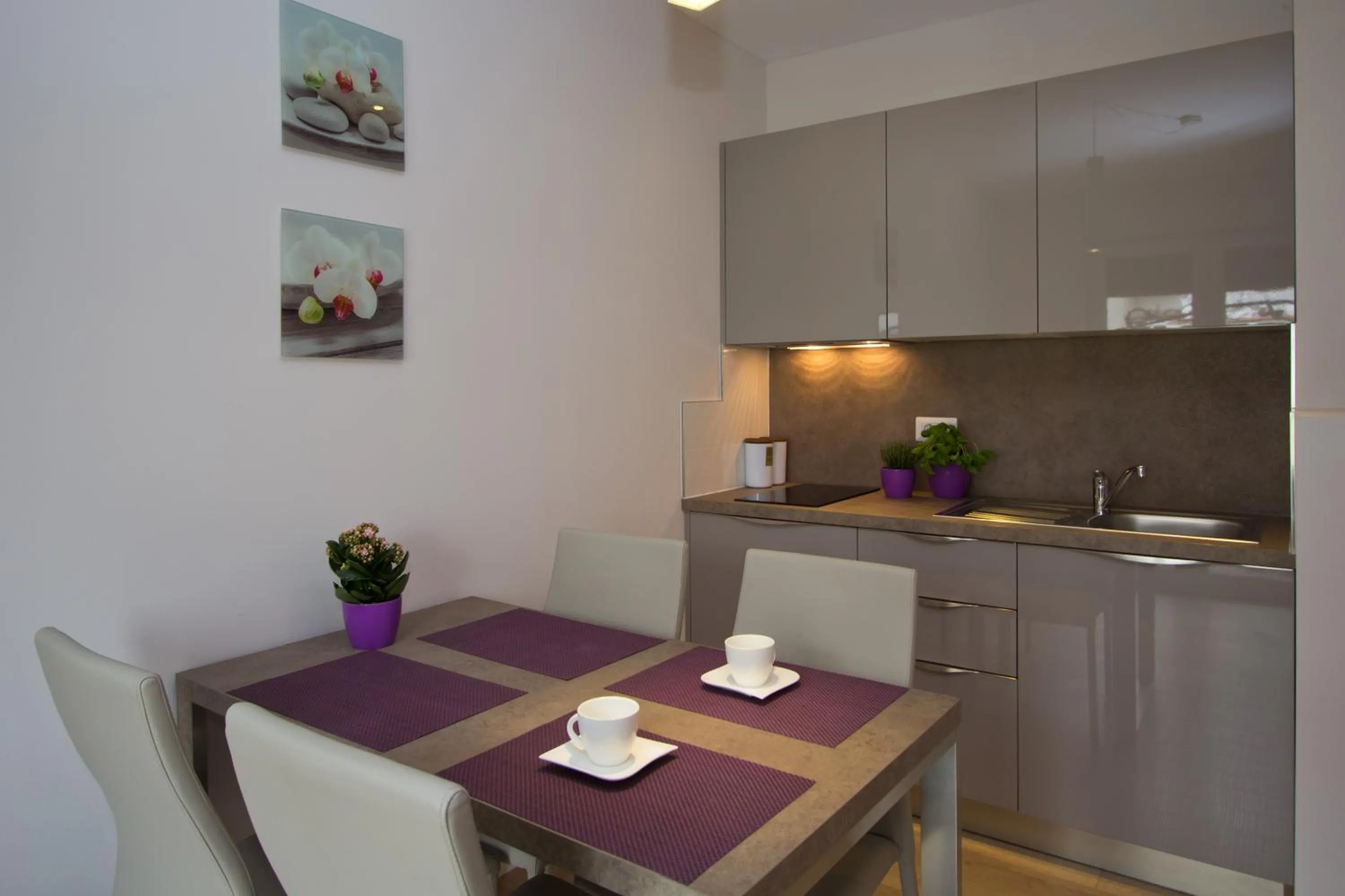 Kitchen or kitchenette in Apartments Adria
