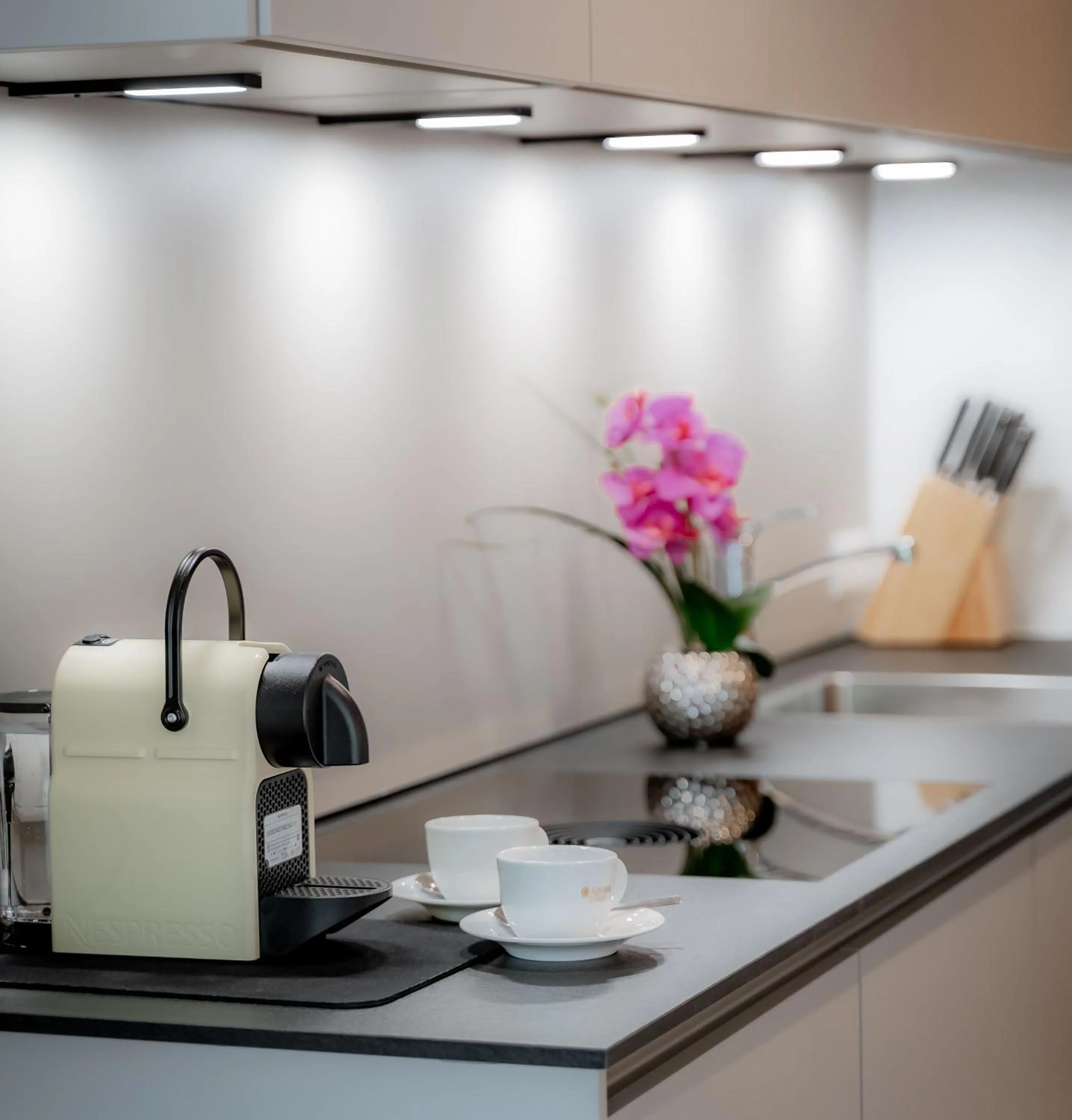 Villa David Dolomites